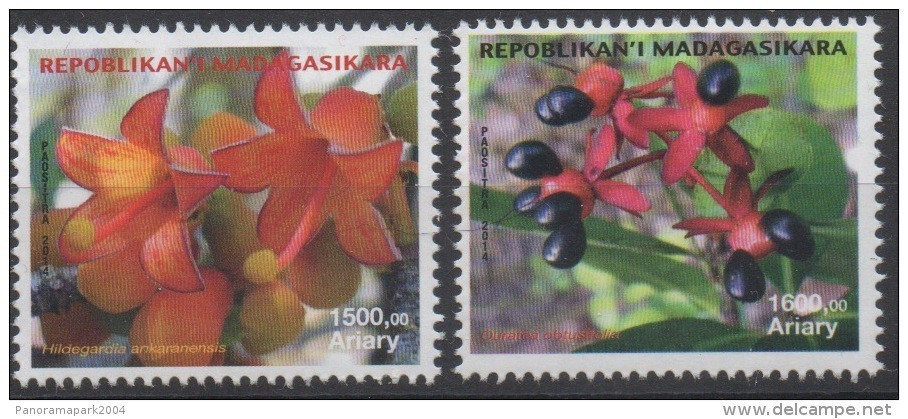 Madagascar Madagaskar 2014 / 2015 Mi. 2683/2684 Fleurs Flowers Blüten Hildegardia Ouratea Flore Flora MNH ** - Madagaskar (1960-...)