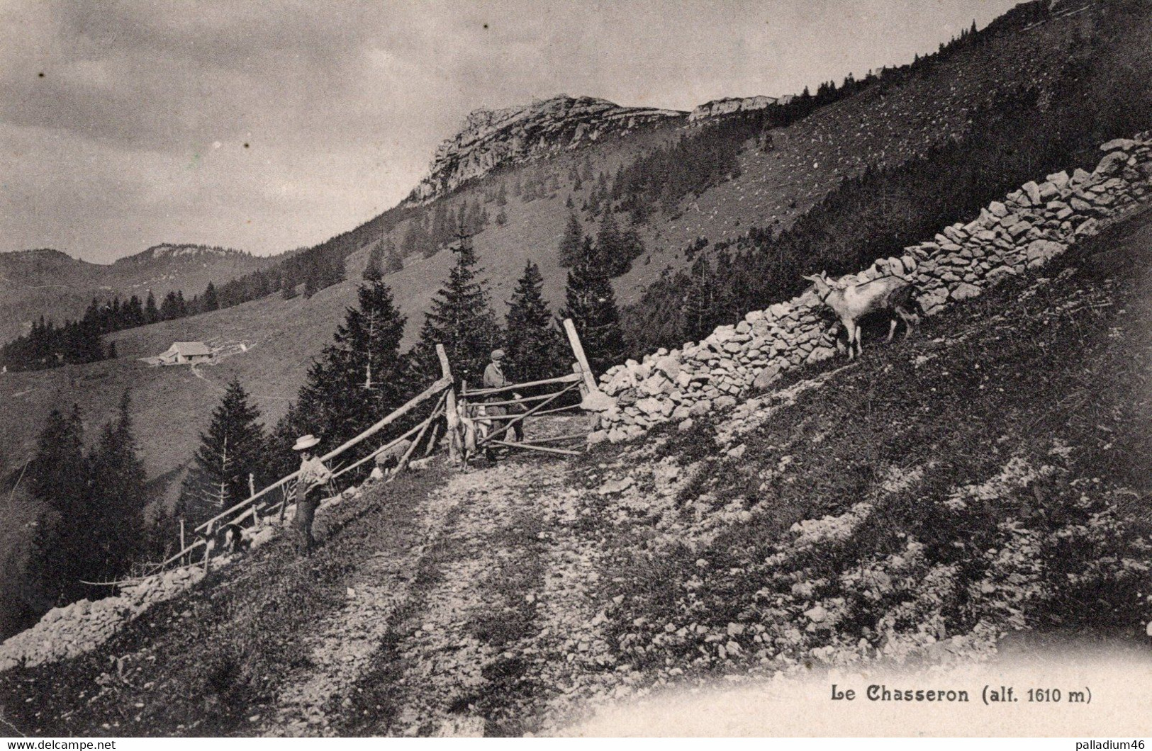 VAUD LE CHASSERON  - A. Deriaz Baulmes No 1030 - Voyagé Le 17.09.1909 - Baulmes