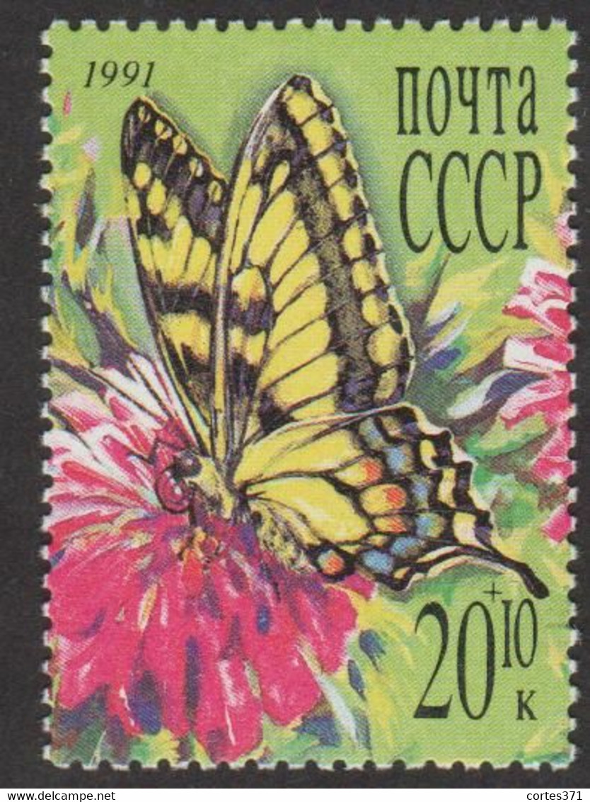 USSR (Russia) - Mi 6173 - Butterflies - 1991 - MNH - Unused Stamps