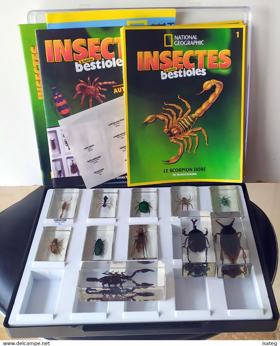 Boîte De 11 Inclusions D'insectes En Résine National Géographic - Otros & Sin Clasificación