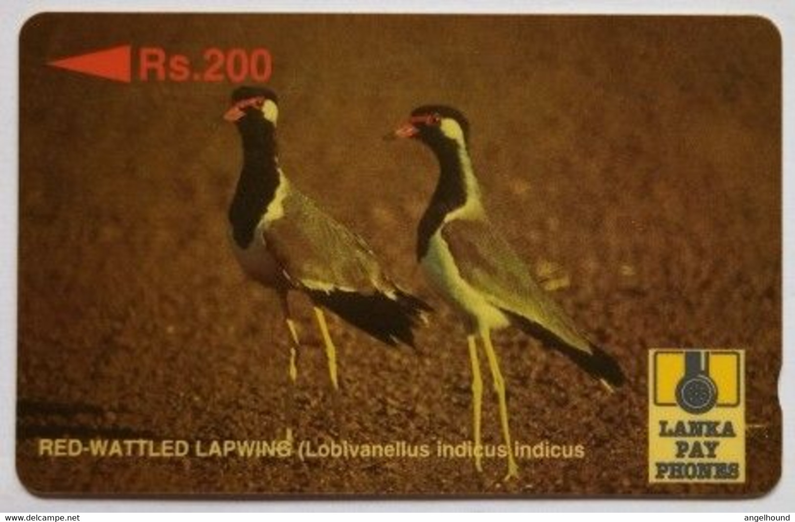 Sri Lanka 21SRLF Rs.200 Red Wattled Lapwing - Sri Lanka (Ceylon)