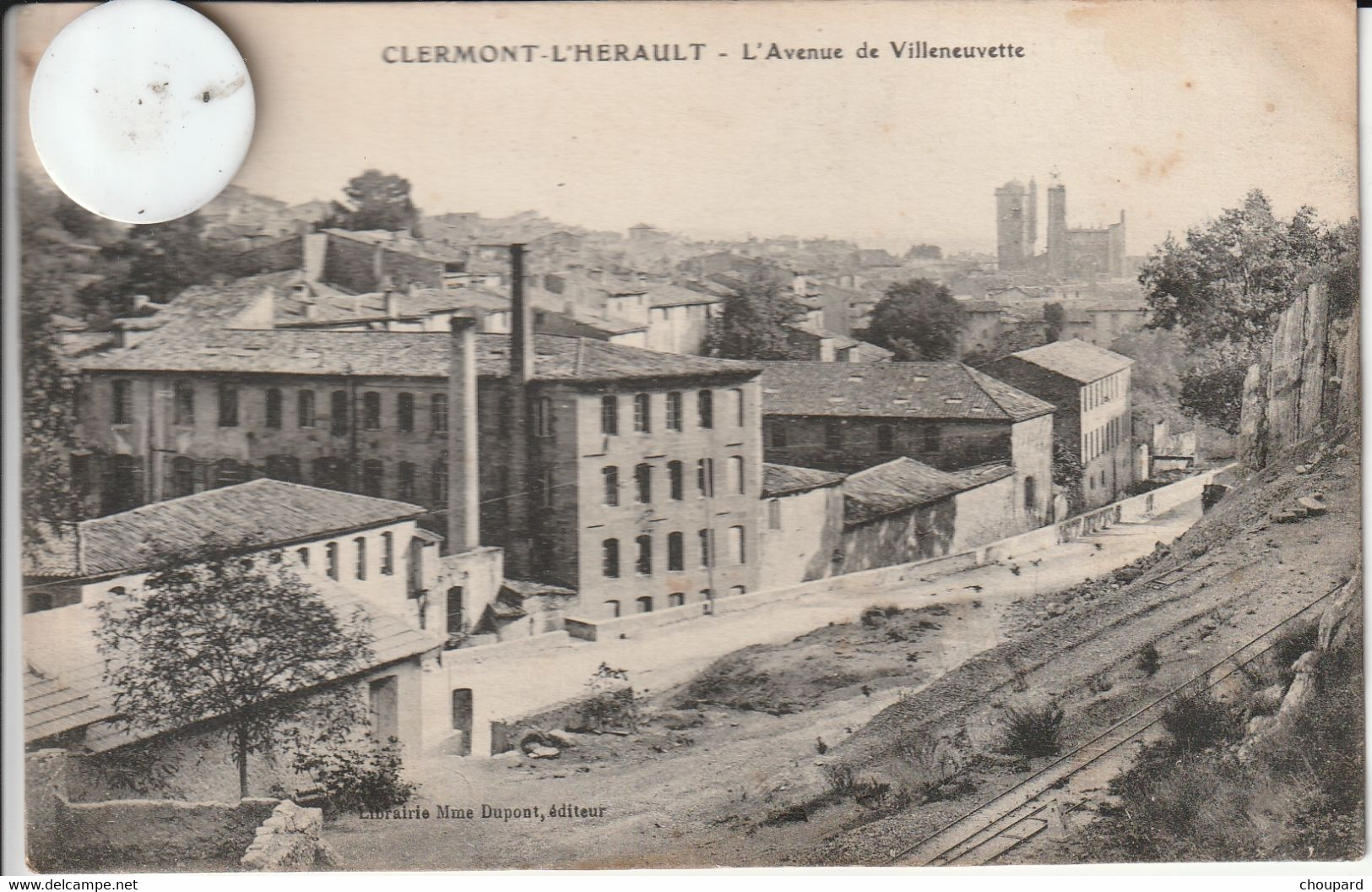 34 - Carte  Postale Ancienne De  CLERMONT L'HERAULT    L'Avenue De Villeneuvette - Clermont L'Hérault