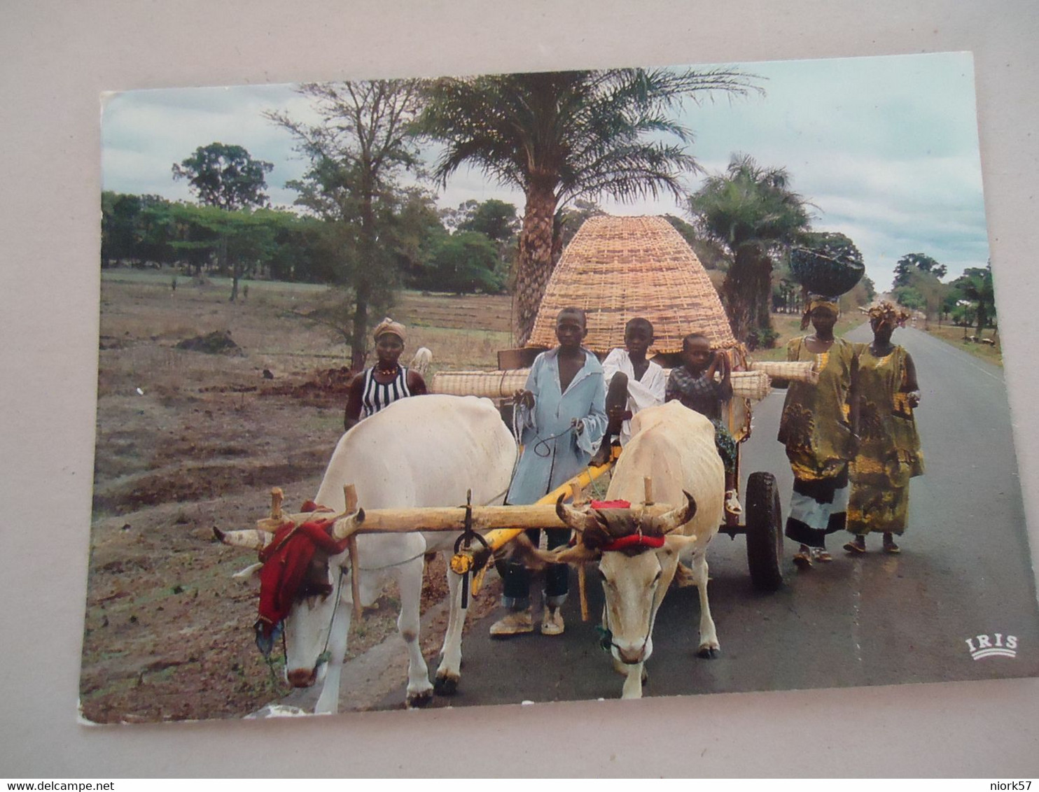 GAMBIA    POSTCARDS  1983 SEREKUNDA  OX TIM  CARS     WITH   STAMPS  2 SCAN - Gambie