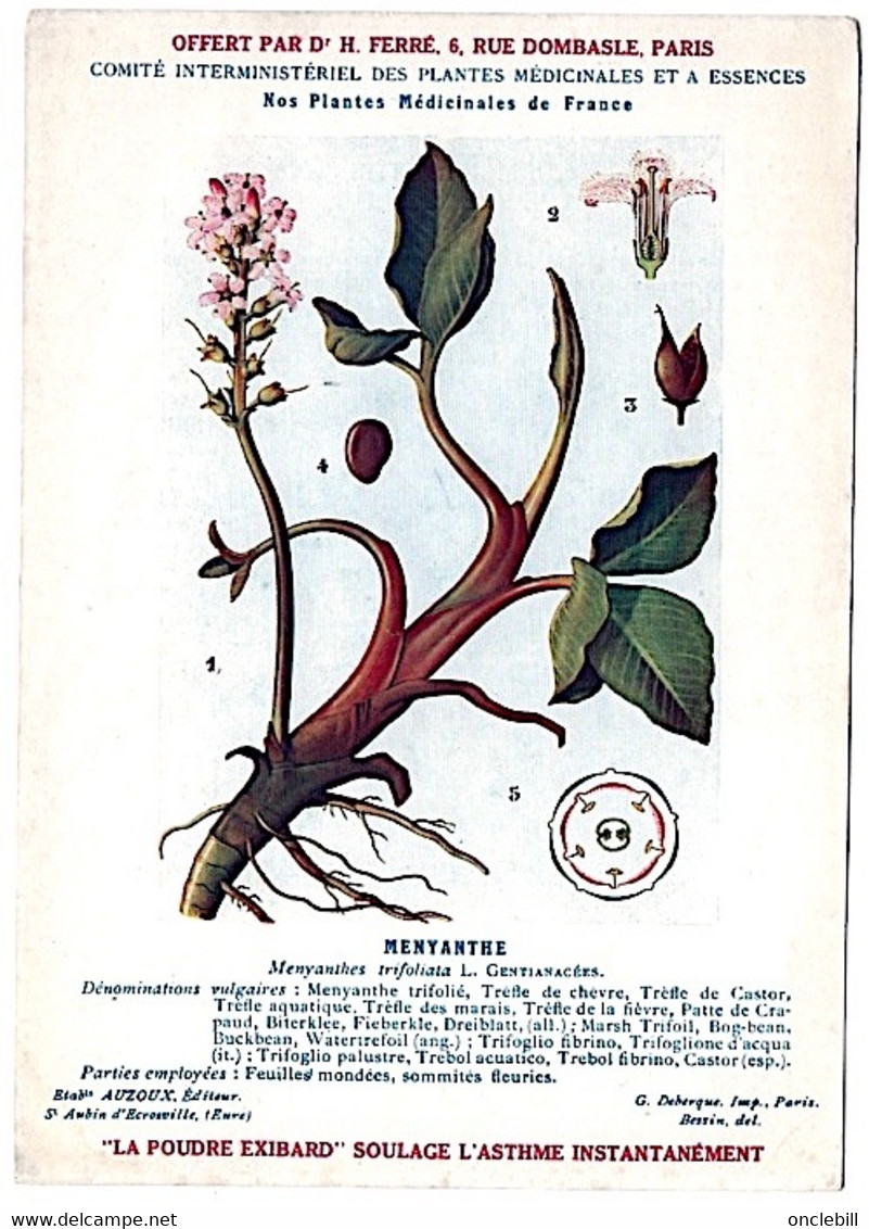 Plantes Médicinales 5 Planches Menyhante Mercuriale Morelle Muguet Neprun Publicité Exibard 1920 Très Bon état - Piante Medicinali