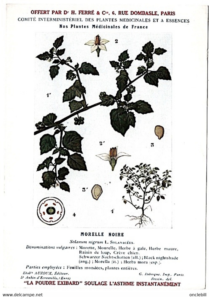 Plantes Médicinales 5 Planches Menyhante Mercuriale Morelle Muguet Neprun Publicité Exibard 1920 Très Bon état - Geneeskrachtige Planten