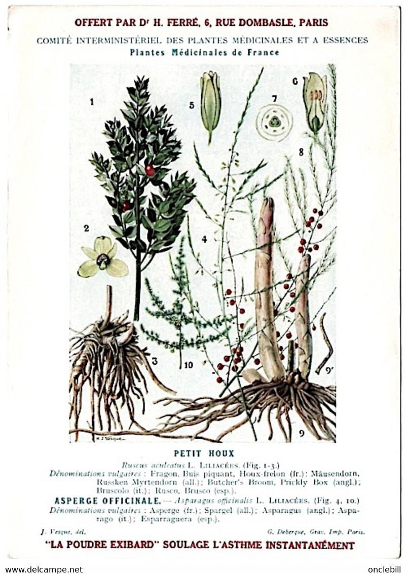 plantes médicinales 5 planches ortie parietaire pensée chiendent houx  publicité exibard 1920 très bon état