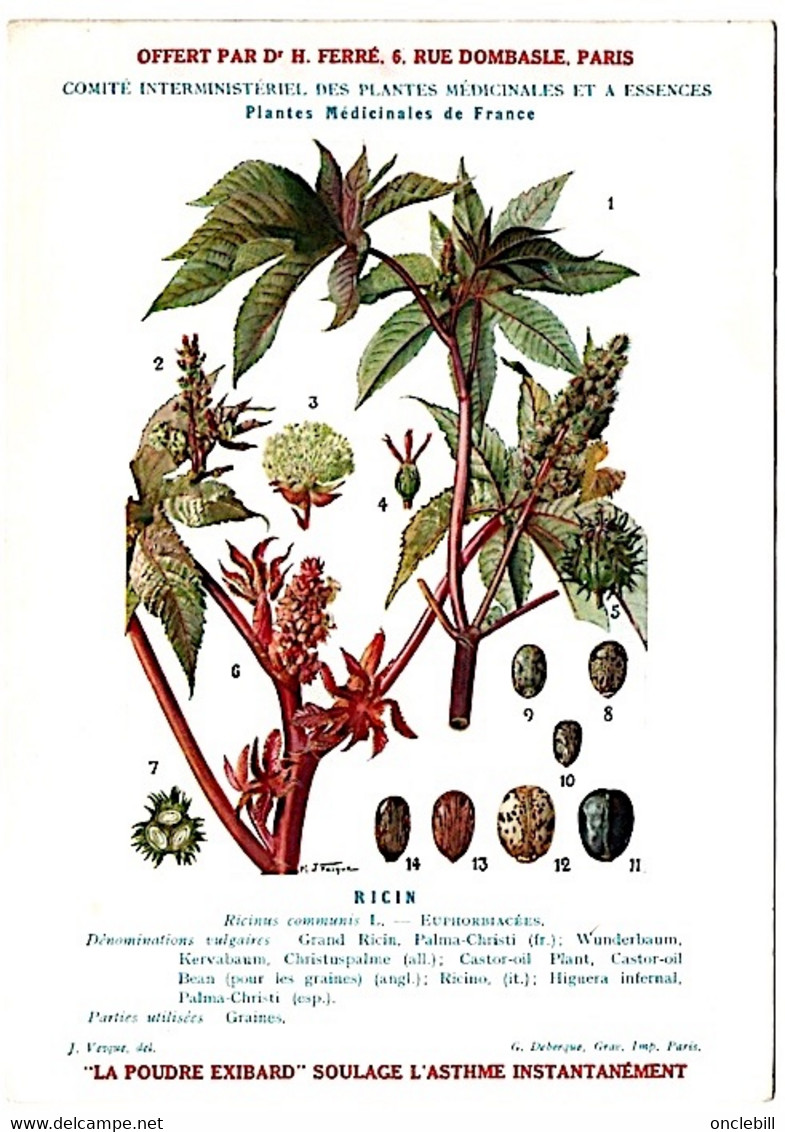 plantes médicinales 5 planches centaurée peuplier pied de chat ricin romarin publicité exibard 1920 très bon état