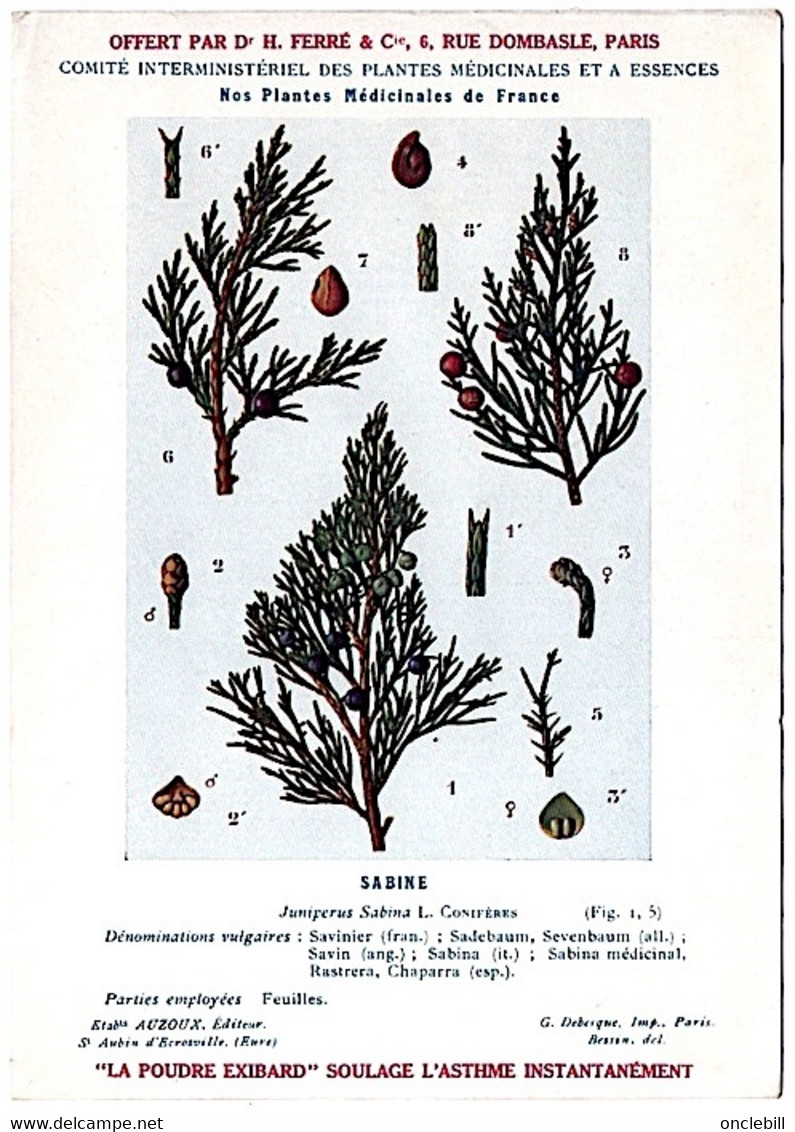 Plantes Médicinales 5 Planches Sabine Saponaire Sauge Scille Souci Publicité Exibard 1920 Très Bon état - Plantas Medicinales