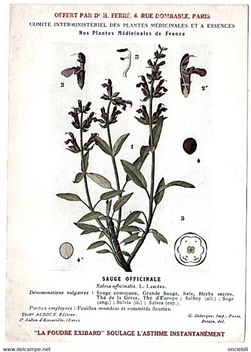 Plantes Médicinales 5 Planches Sabine Saponaire Sauge Scille Souci Publicité Exibard 1920 Très Bon état - Heilpflanzen
