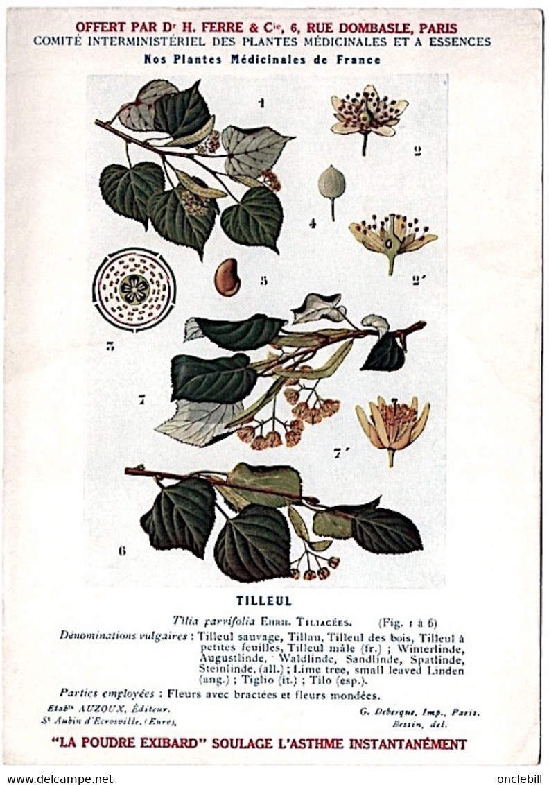 Plantes Médicinales 5 Planches Verveine Tussilage Tilleul Sureau Pin Publicité Exibard 1920 Très Bon état - Medicinal Plants