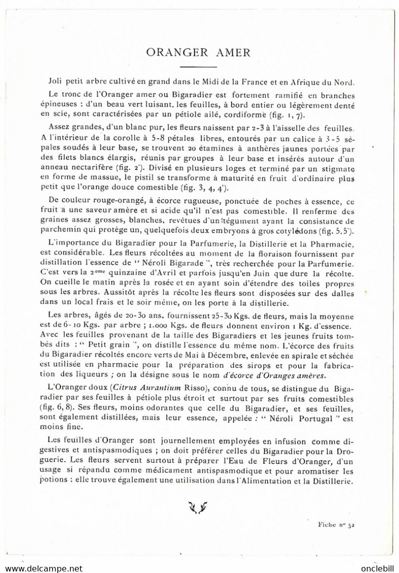 Plantes Médicinales 2 Planches Oranger Amer Géranium Publicité Exibard 1920 Très Bon état - Plantes Médicinales