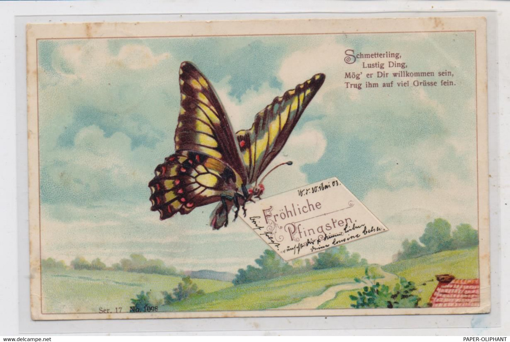 SCHMETTERLINGE / Butterflies / Papillon,  Präge-Karte / Embossed / Relief, 1903 - Papillons