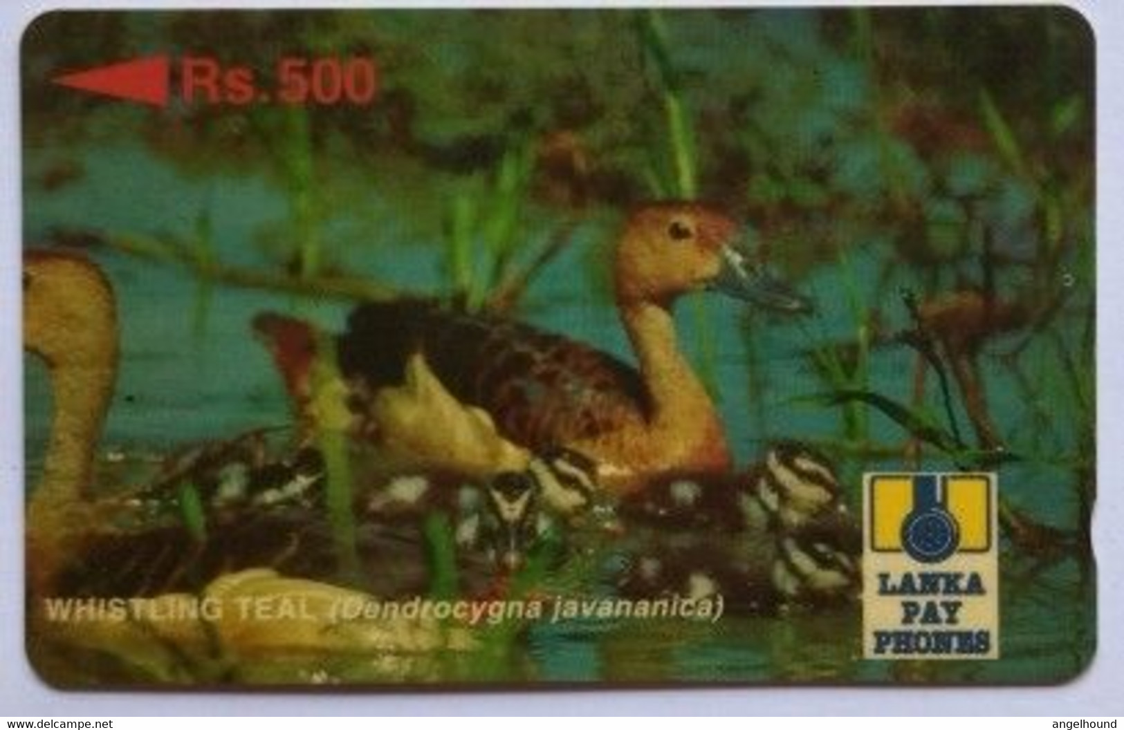 Sri Lanka 24SRLA Rs.500 Whistling Teal - Sri Lanka (Ceylon)