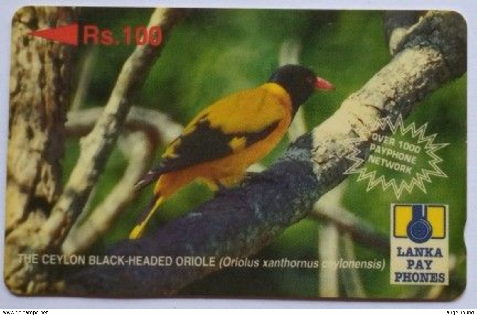 Sri Lanka 32SRLD Rs.100 Black Headed Oriole ( With Text "over 1000 Payphone Network") - Sri Lanka (Ceylon)