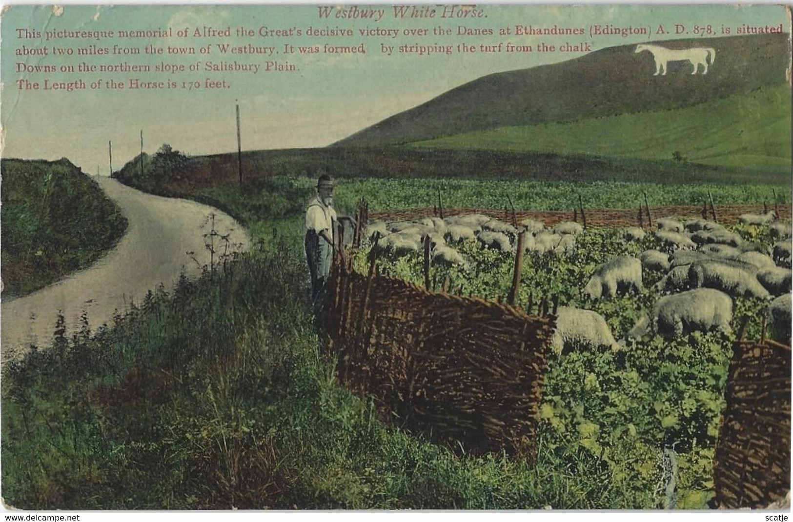 Westbury   White Horse.   -    1912   Cheddar - Salisbury