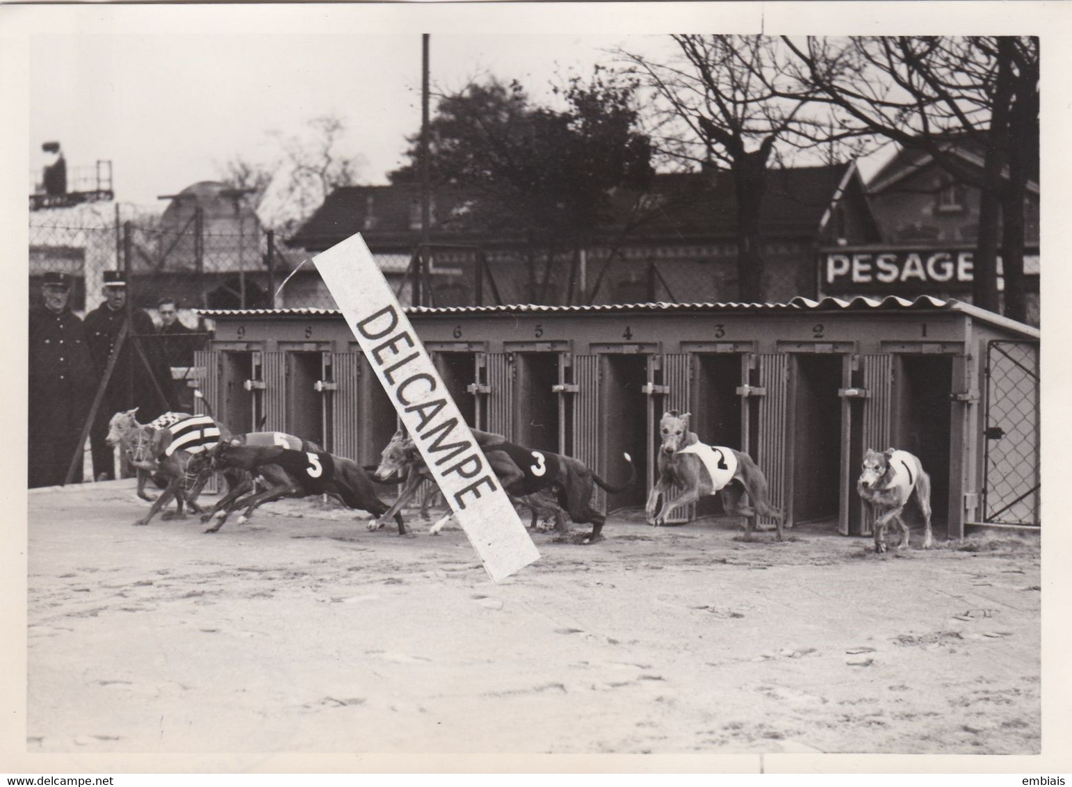 92 COURBEVOIE 1940 - Photo Originale De La Réouverture Du Cynodrome - Départ De La 1ère Course... - Lieux