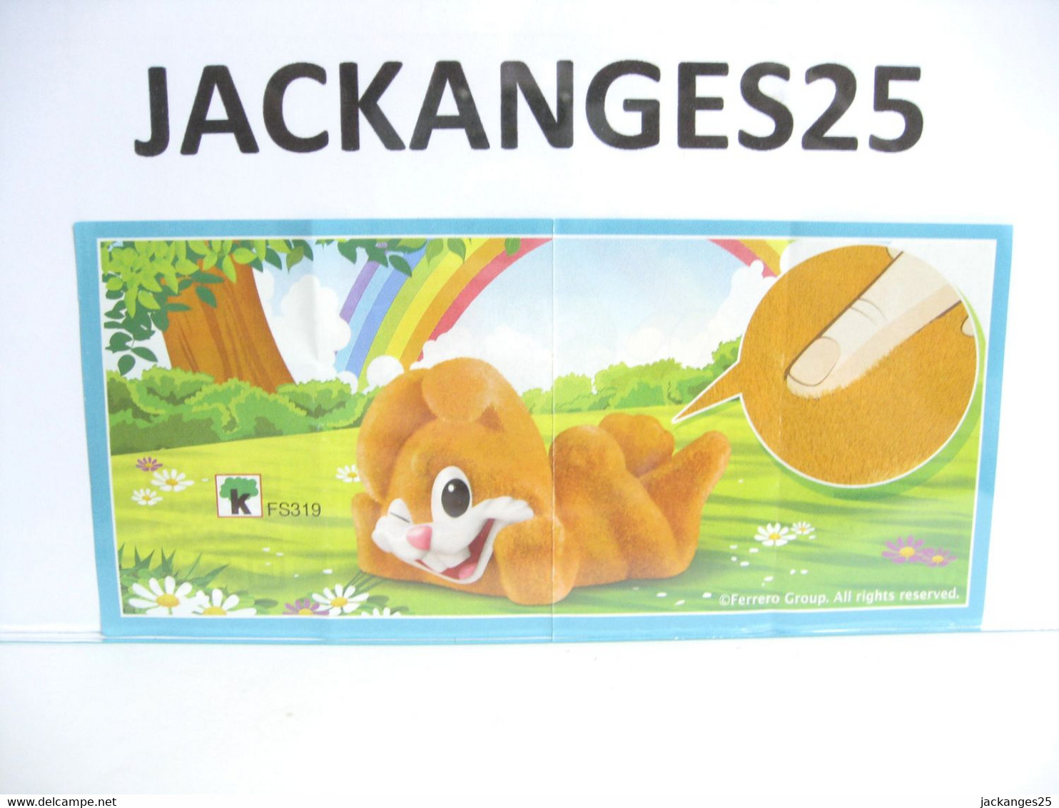 KINDER MPG FS 319 LAPIN COLORES ORANGE ANIMAUX NATOONS TIERE 2016  + BPZ - Families