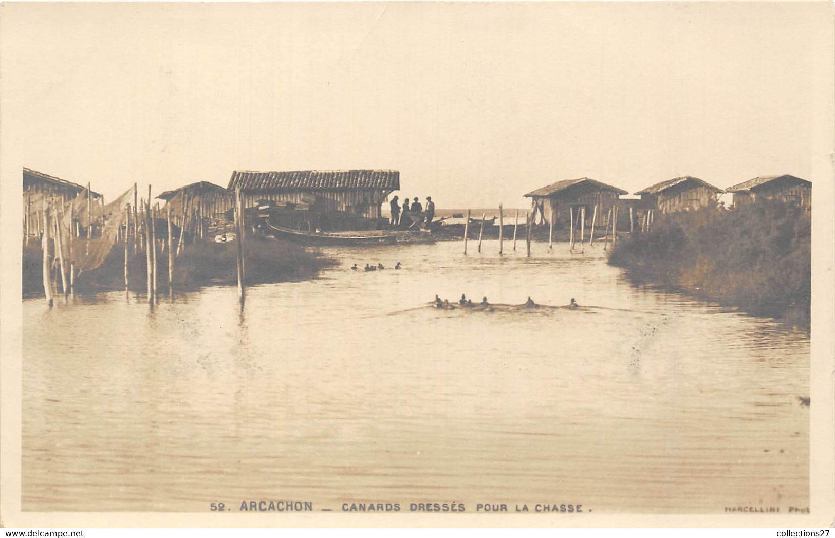 33-ARCACHON-CARTE-PHOTO- CANARD DRESSES POUR LA CHASSE - Arcachon