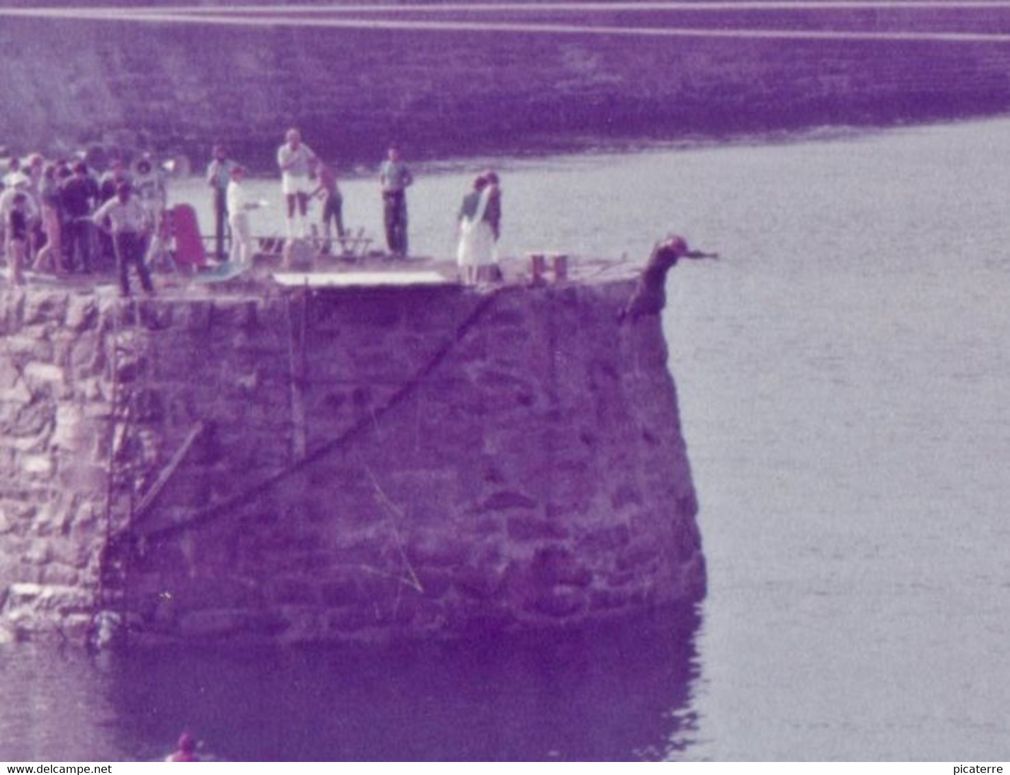 ALDERNEY-c1970 Crowds Watching Man Powered Flight Contest During Alderney Week Celebrations -Photgraph-ile Aurigny - Alderney