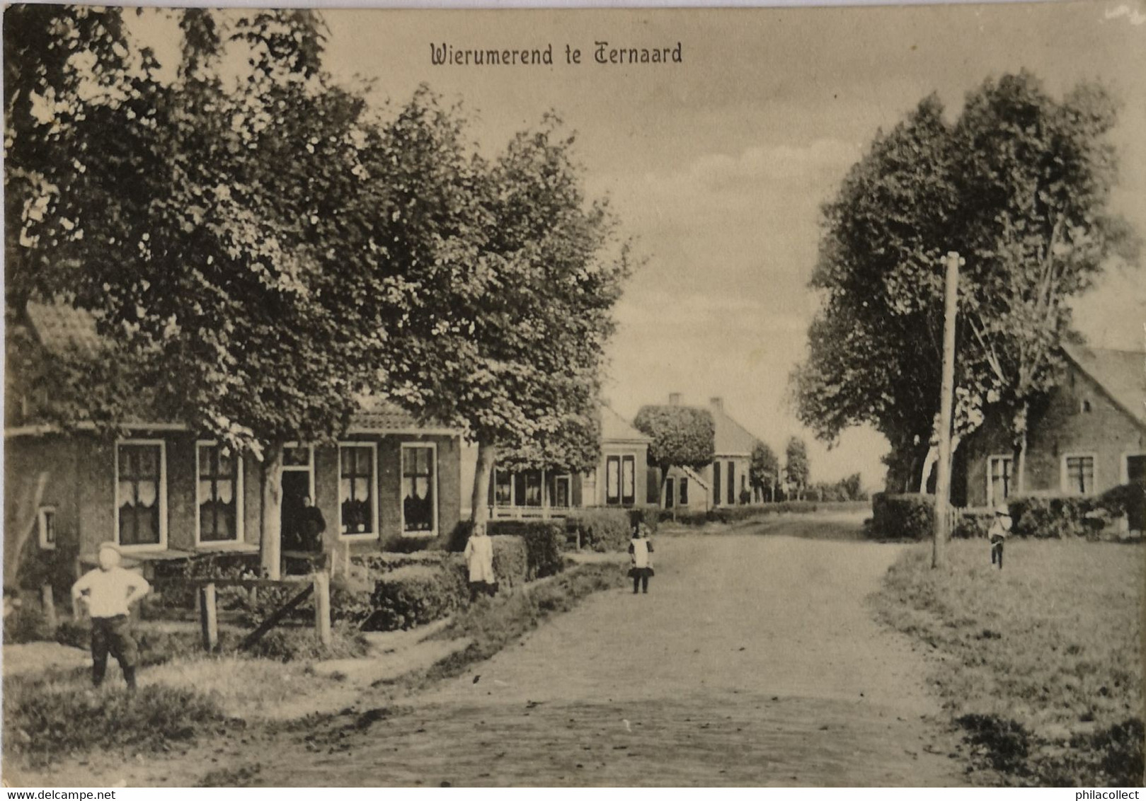 Ternaard (Frl.) Wierumerend (geanimeerd) 1917 Met GR Stempel - Andere & Zonder Classificatie