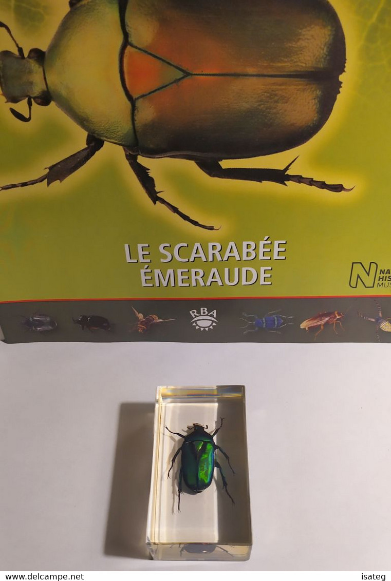 Collection "Authentiques Insectes" N°4 : Le Scarabée Emeraude" - Altri & Non Classificati