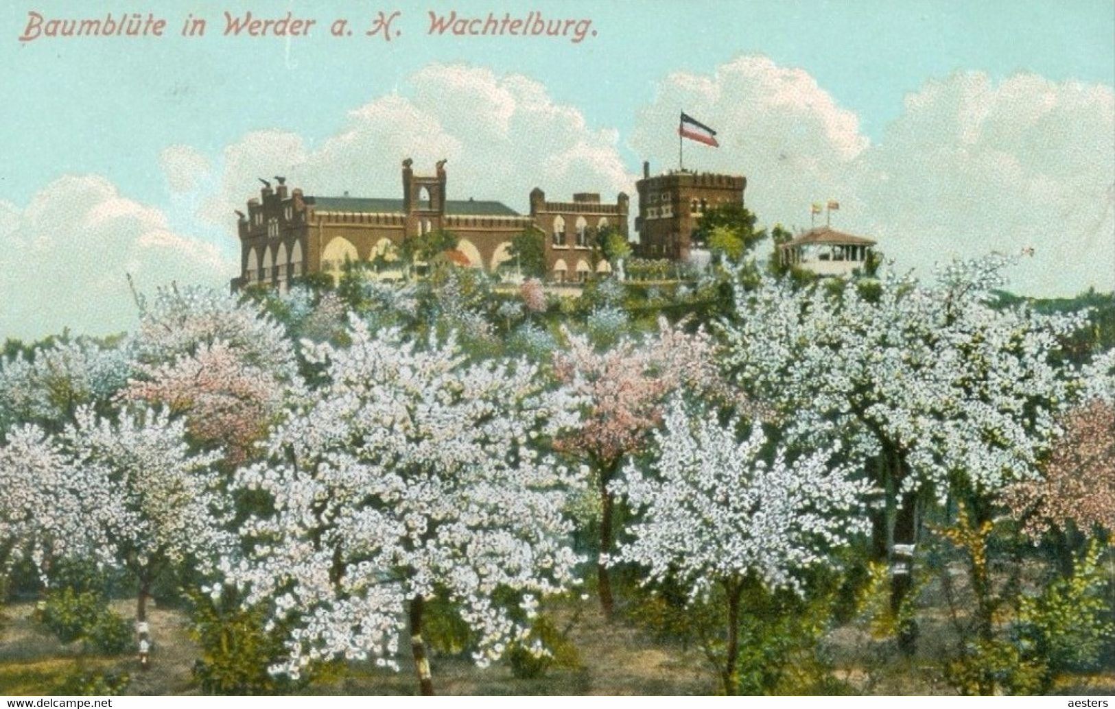 Werder A. Havel; Baumblüte. Wachtelburg - Nicht Gelaufen. (Johann Lindenberg - Rathenow) - Werder