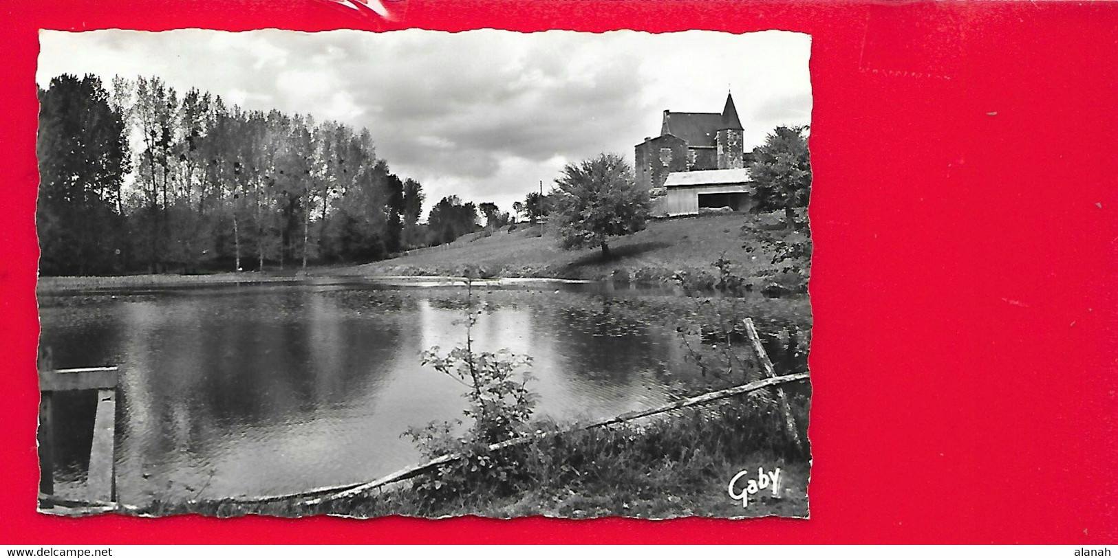 CHAMPDENIERS Château De Neufchaise Et Etang (Artaud Gaby) Deux Sèvres (79) - Champdeniers Saint Denis