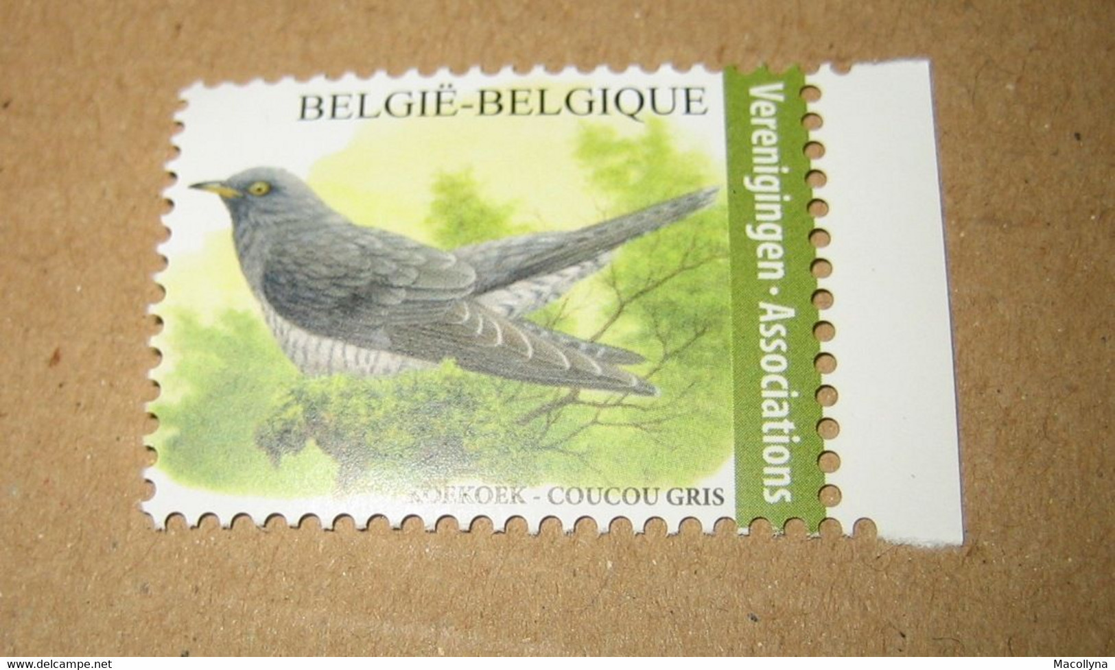 Belg. 2021 - 4991** Le Coucou Gris ( Grijze Koekoek) ** (pour Associations - Voor Verenigingen) - 1985-.. Pájaros (Buzin)