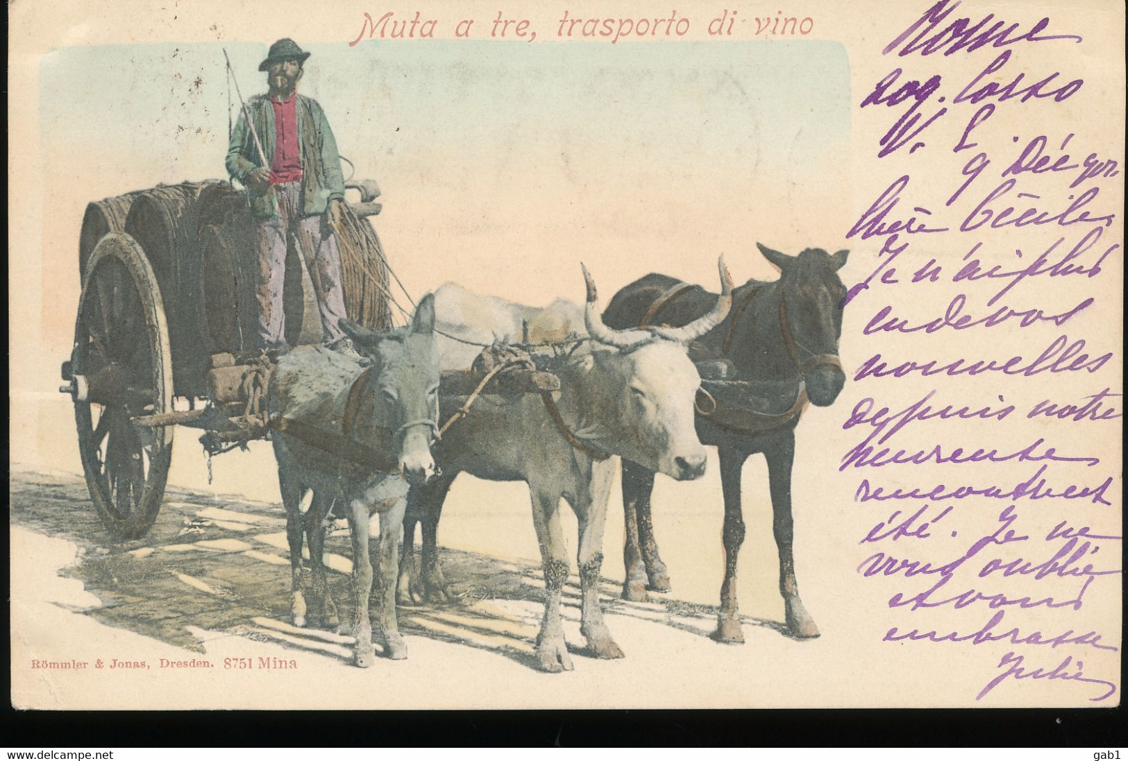 Italie --  Muta A Tre, Transporto Di Vino ( 1901) - Attelages