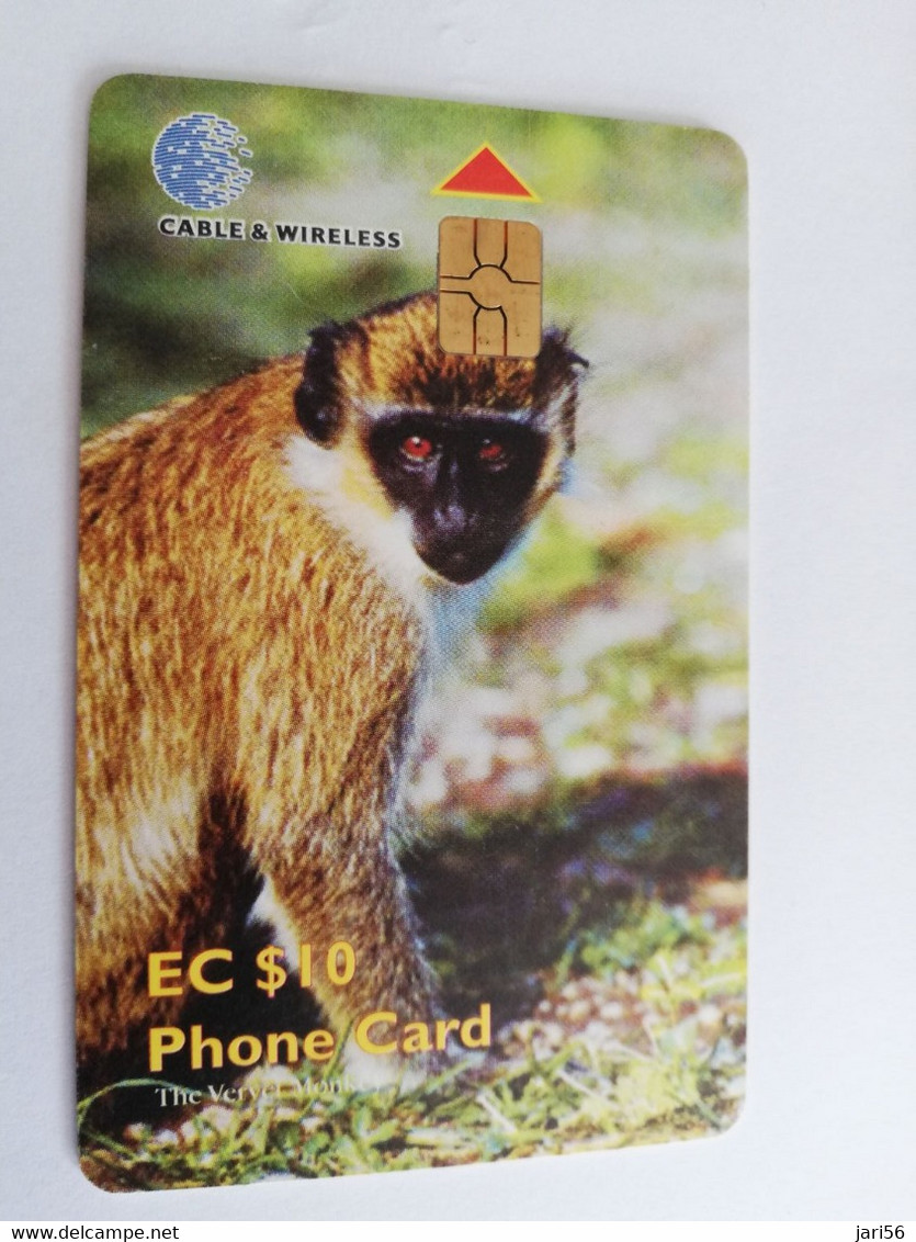 ST KITTS & NEVIS  CHIPCARD  $10,- THE VERVET MONKEY    Fine Used Card  **9550** - St. Kitts En Nevis