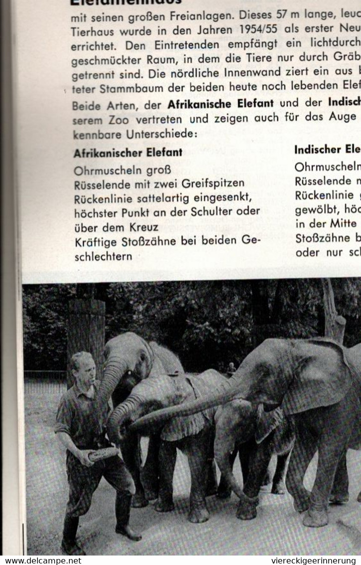! 1973 Wegweiser Durch Den Zoologischen Garten Berlin , 102 Seiten - Autres & Non Classés