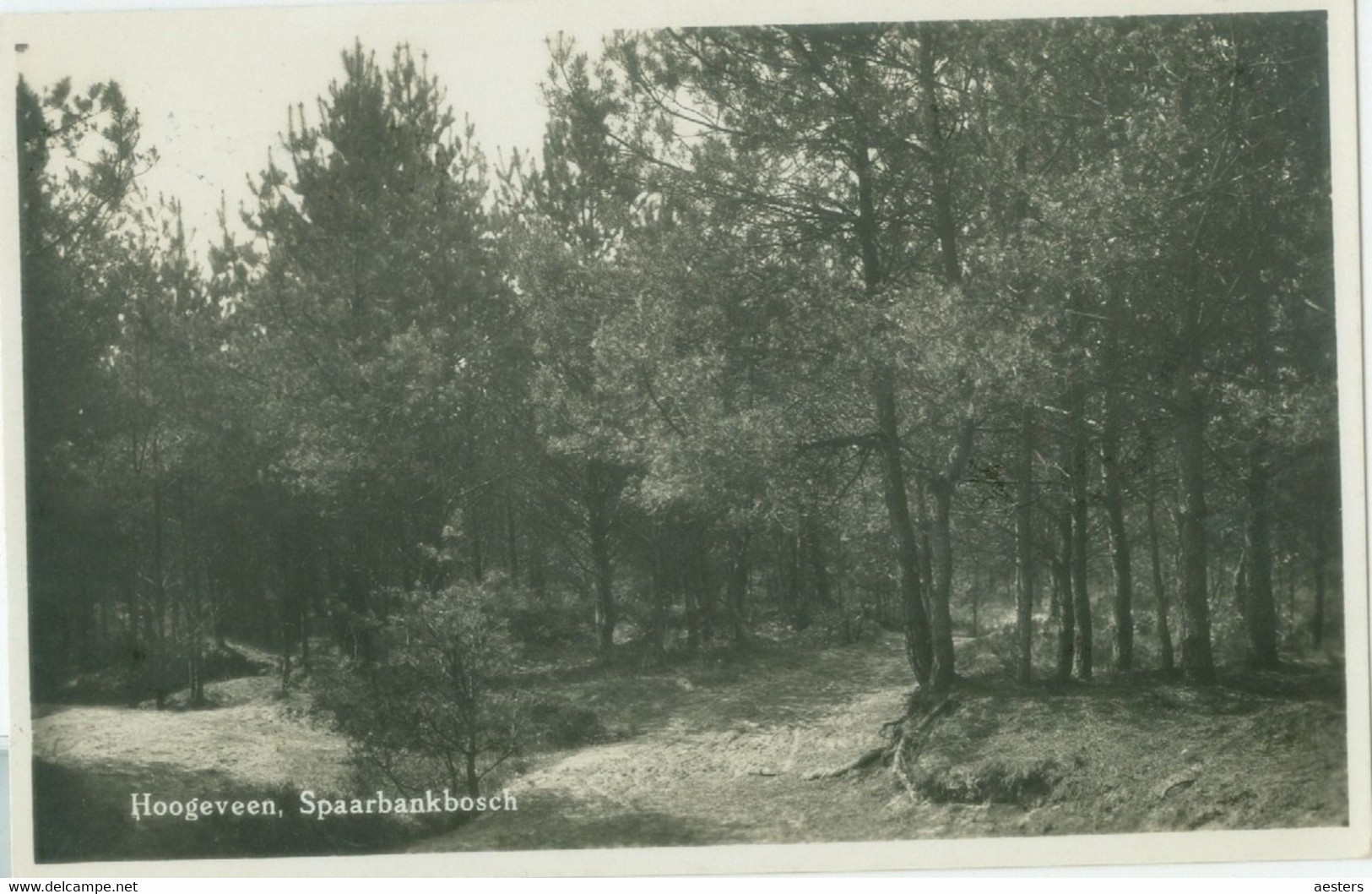 Hoogeveen 1932; Spaarbankbosch - Gelopen. (C. Pet - Hoogeveen) - Hoogeveen