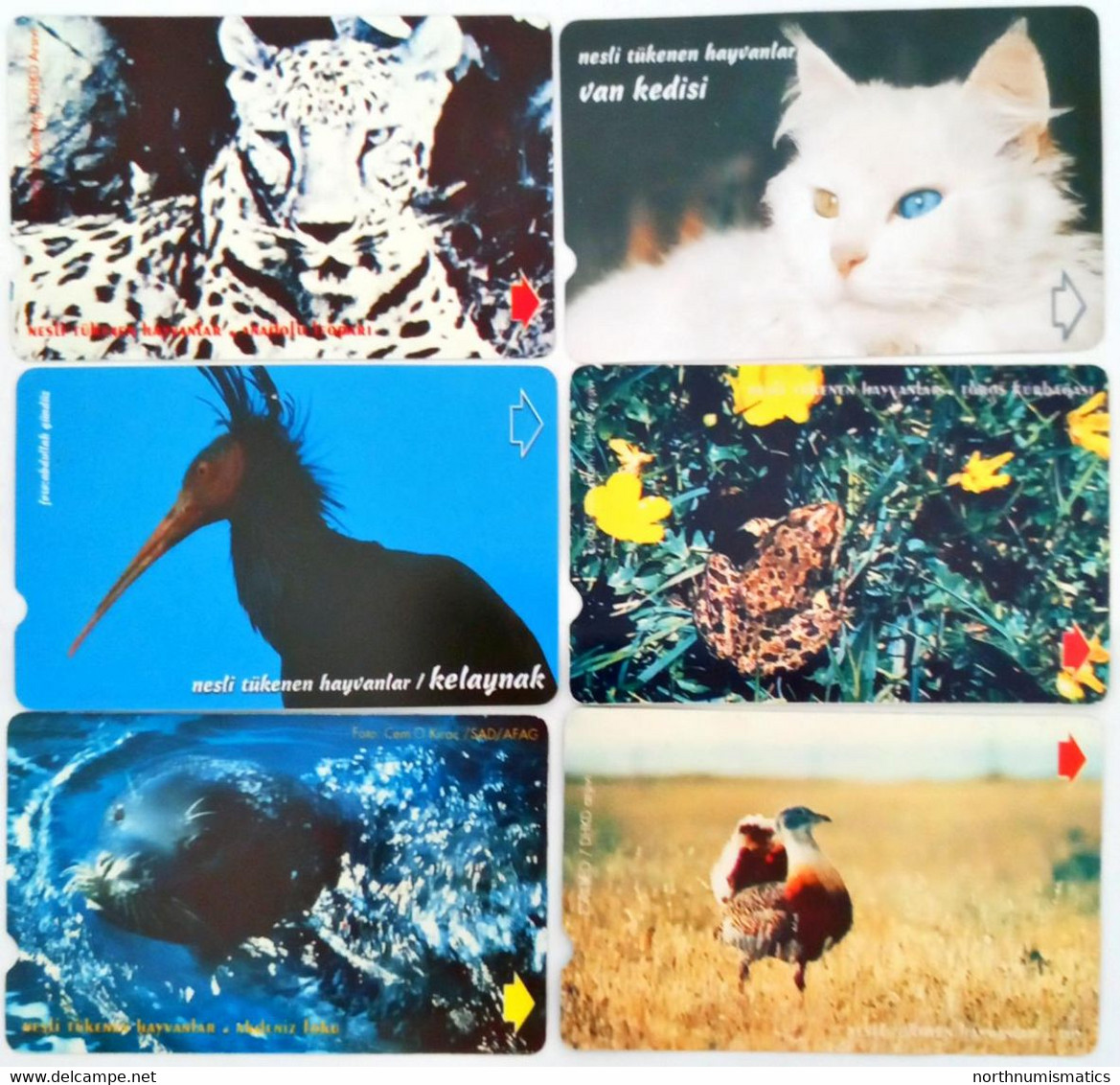 Turkıye Phonecards Turk Telekom 6 Pcs Different  Endangered Animals 30-60-100 Units Used Magnetic Card - Collections