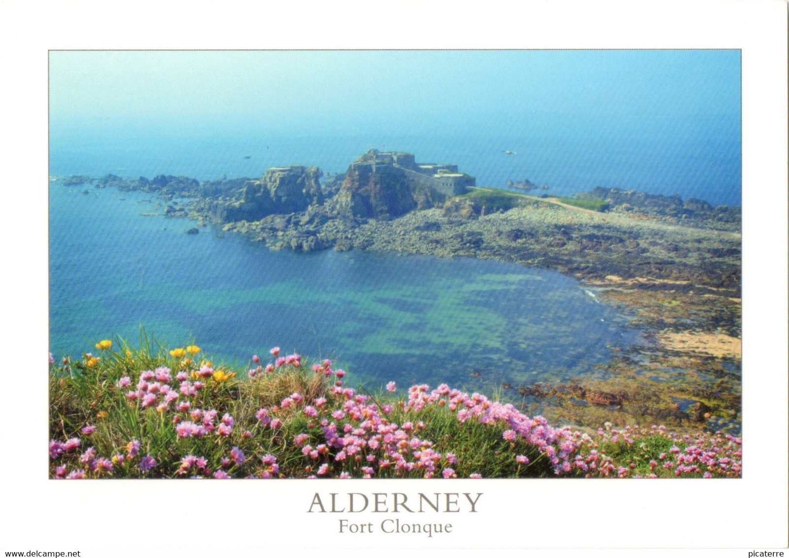 Alderney - Fort Clonque On The West Coast (Ald 1-C.Andrews) Wild Flowers, Ile Aurigny - Alderney