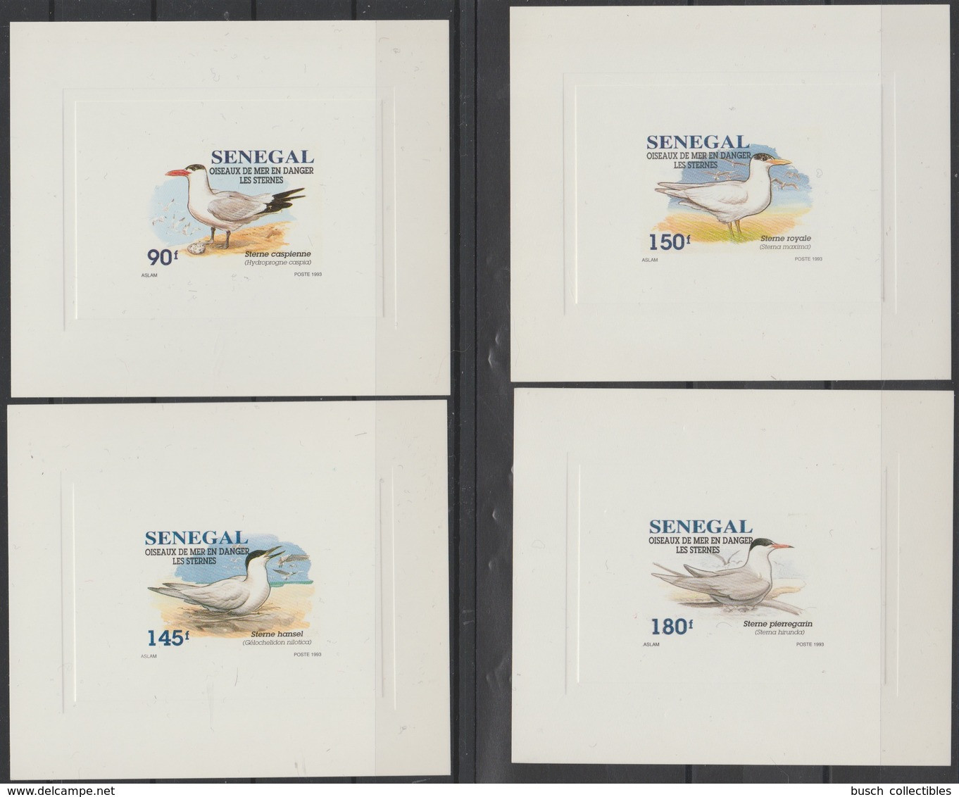Sénégal 1993 / 1995 Mi. 1394 - 1397 Epreuve De Luxe Proof Oiseaux De Mer En Danger Sternes Mouettes Vögel Birds - Seagulls