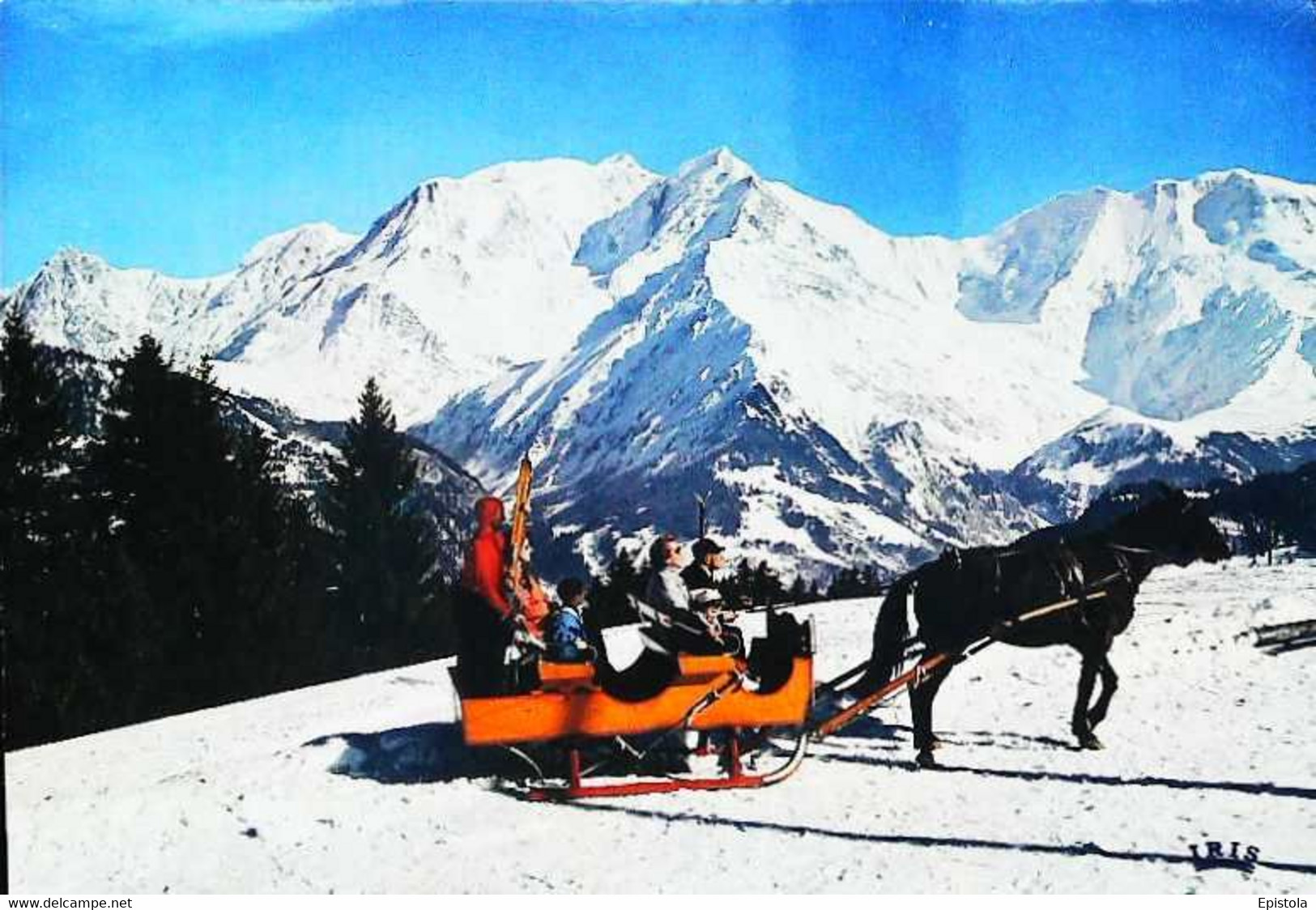 ► CPSM Attelage Chaine Du Mont Blanc - Attelages