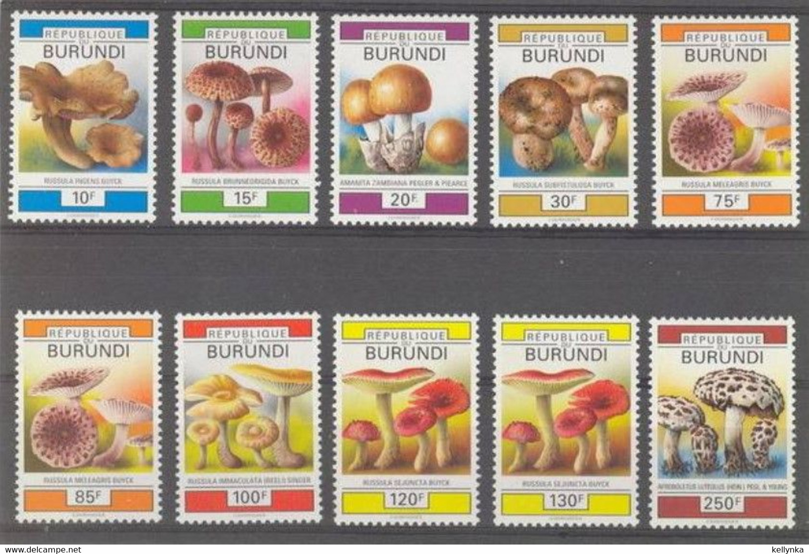 Burundi - 994/1003 - Champignons - 1993 - MNH - Ungebraucht