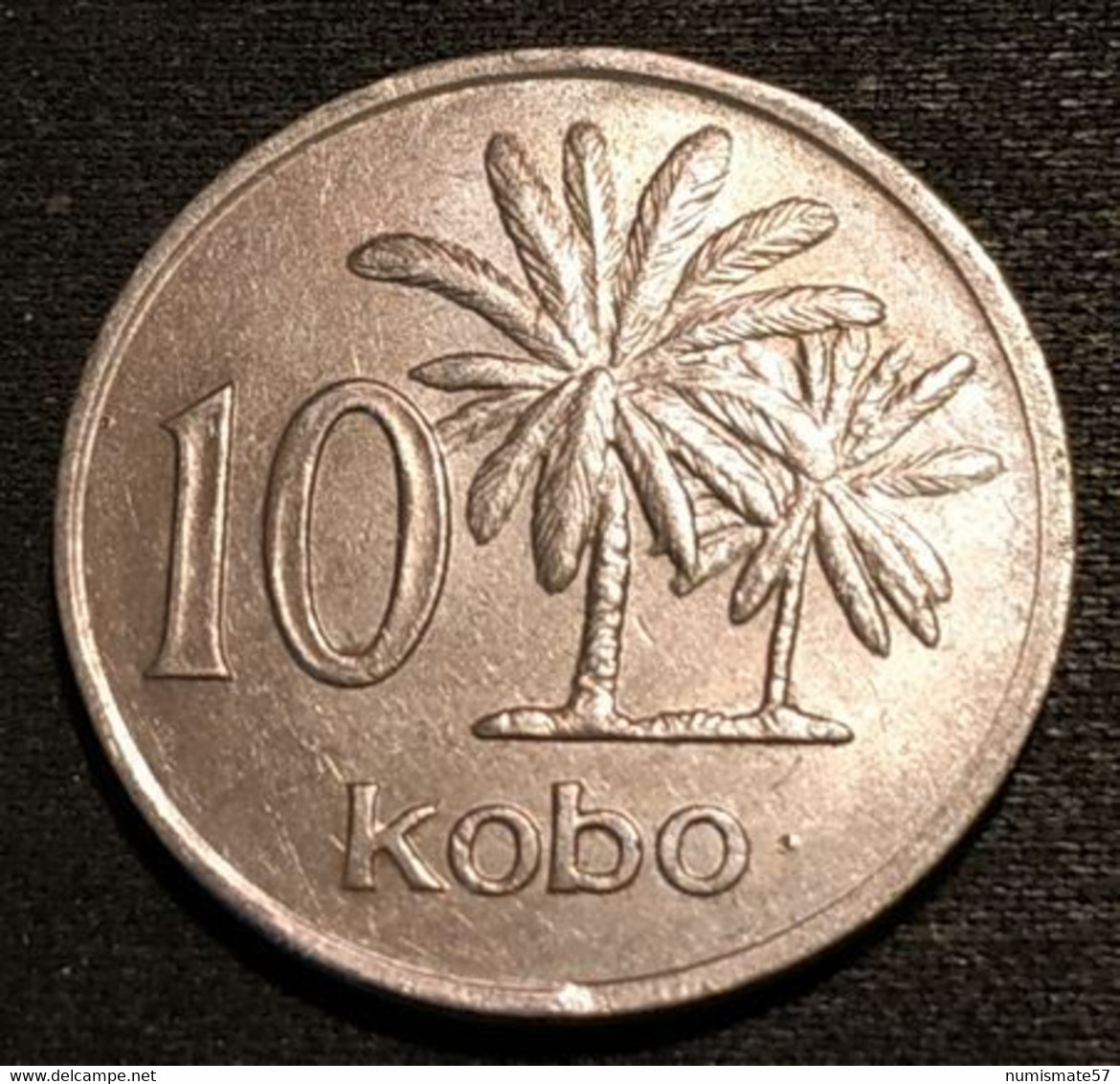 NIGERIA - 10 KOBO 1976 - KM 10.1 - Nigeria