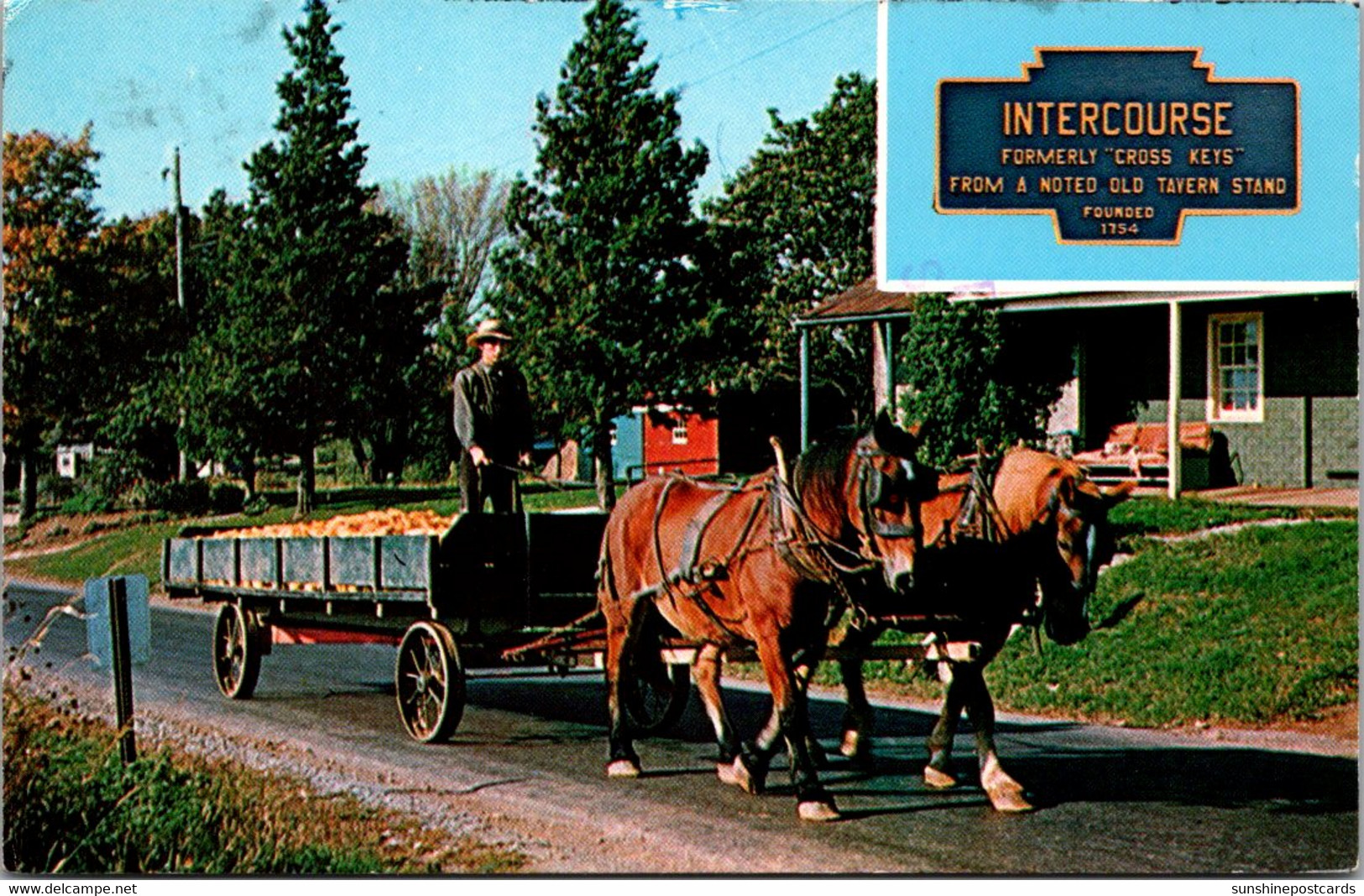 Pennsylvania Intercourse Amish Country Greetings Amish Farmer With Wagon Load Of Corn 1985 - Sonstige & Ohne Zuordnung