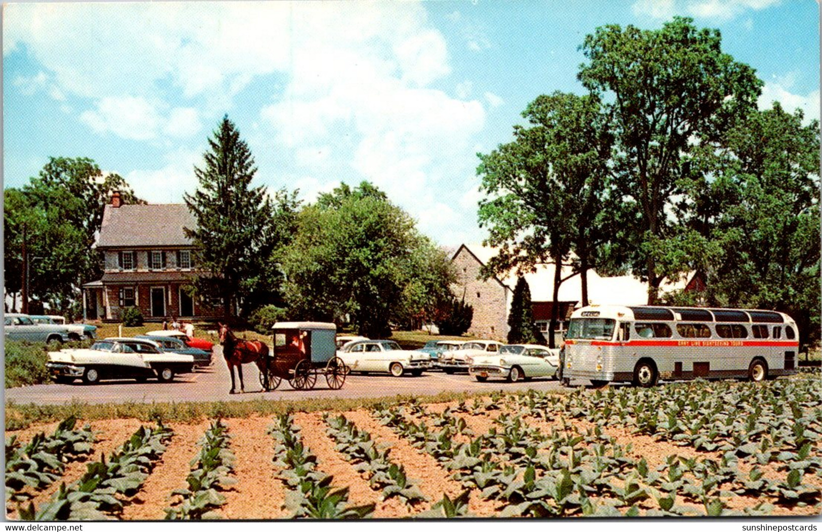 Pennsylvania Lancaster The Amish Fram And House 1962 - Lancaster