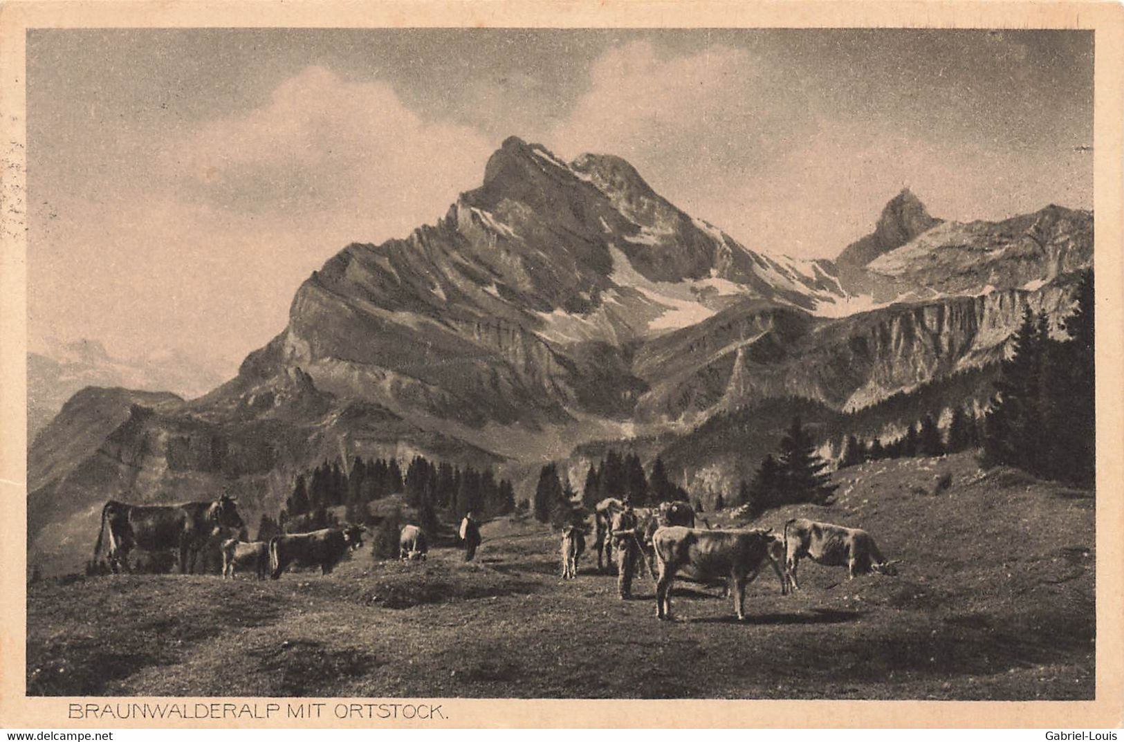 Braunwalderalp Mit Ortstock Kühen 1924 Glarus - Braunwald