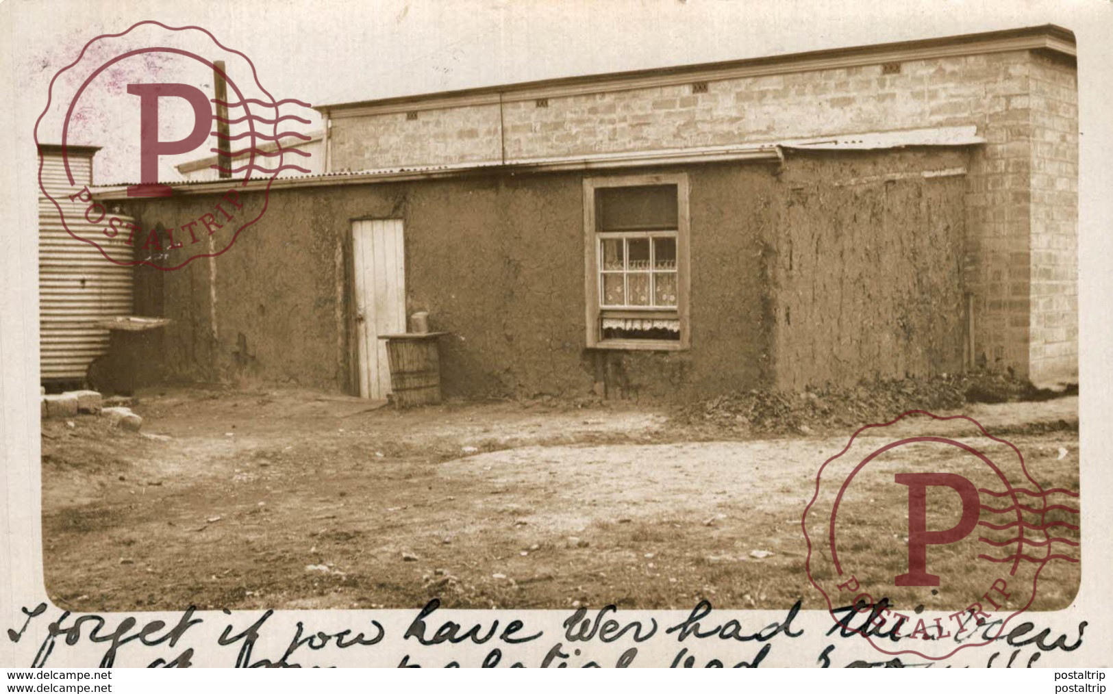 RPPC   PINNAROO     AUSTRALIA OCEANIA PHOTO REEVES - Andere & Zonder Classificatie