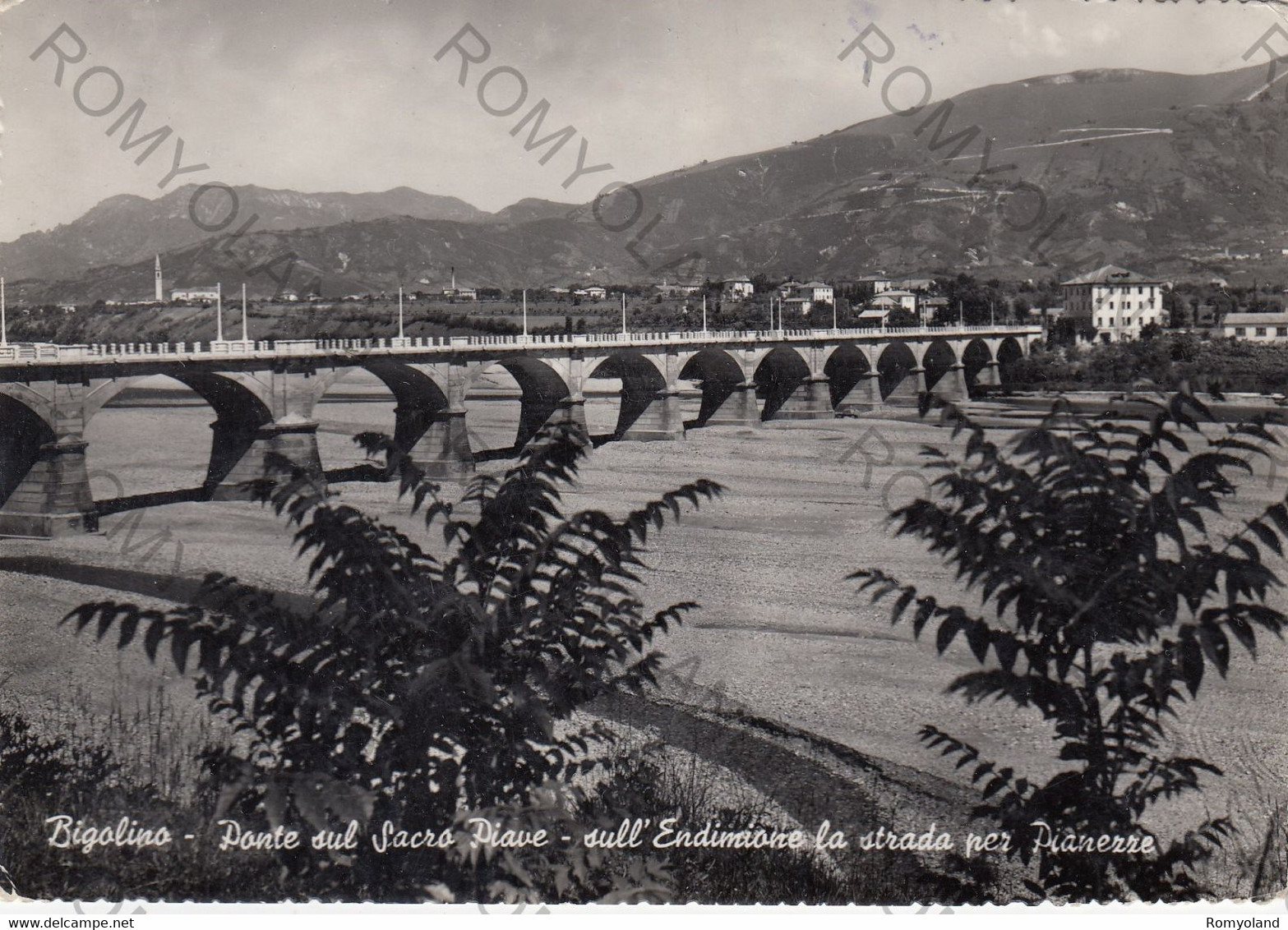 CARTOLINA  BIGOLINO,TREVISO,VENETO,PONTE SUL SACRO PIAVE-SULL"ENDIMIONE LA STRADA PER PIANEZZE,VIAGGIATA 1954 - Treviso