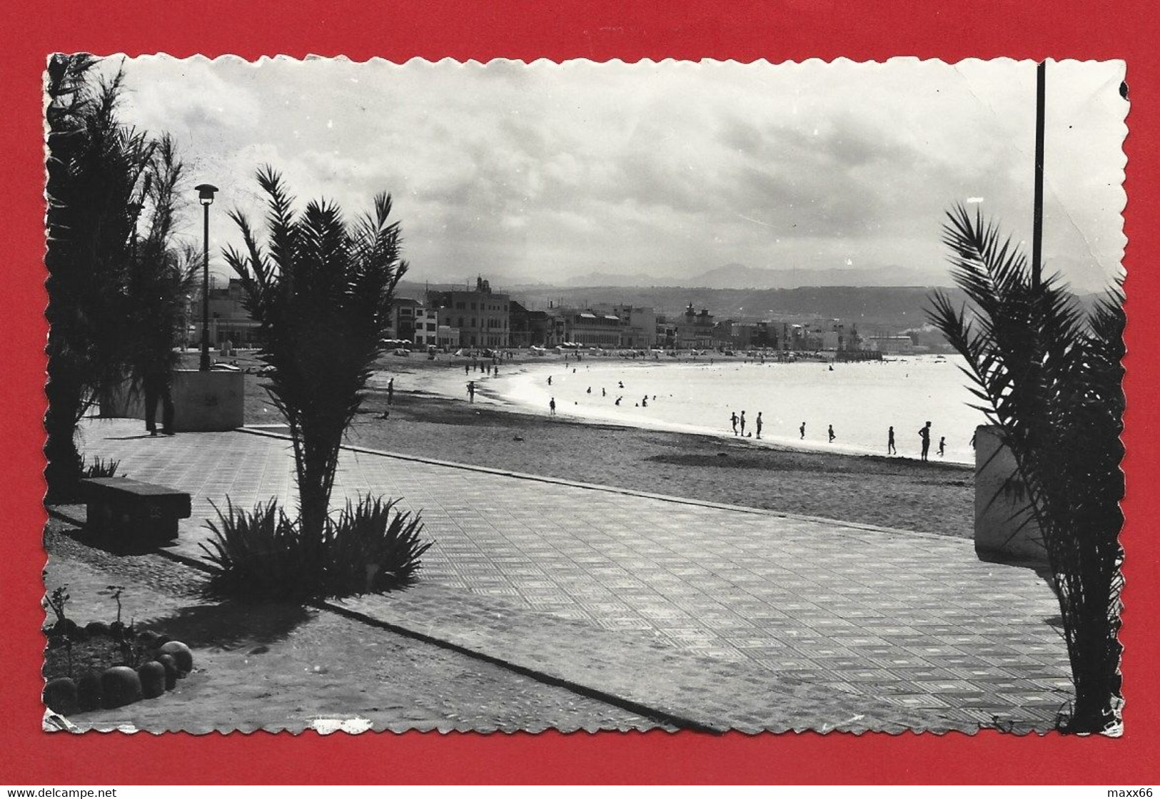CARTOLINA VG SPAGNA - CANARIE - PUERTO DE LA LUZ - Playa De La Canteras - 9 X 14 - 1954 - La Palma