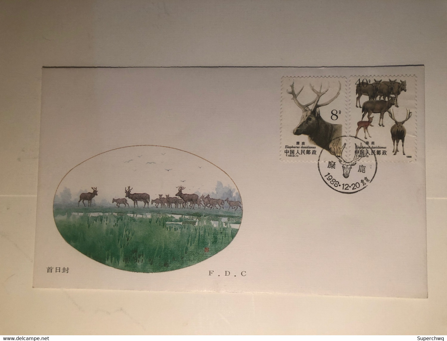 China FDC 1988 Pete David's Deer - 1980-1989