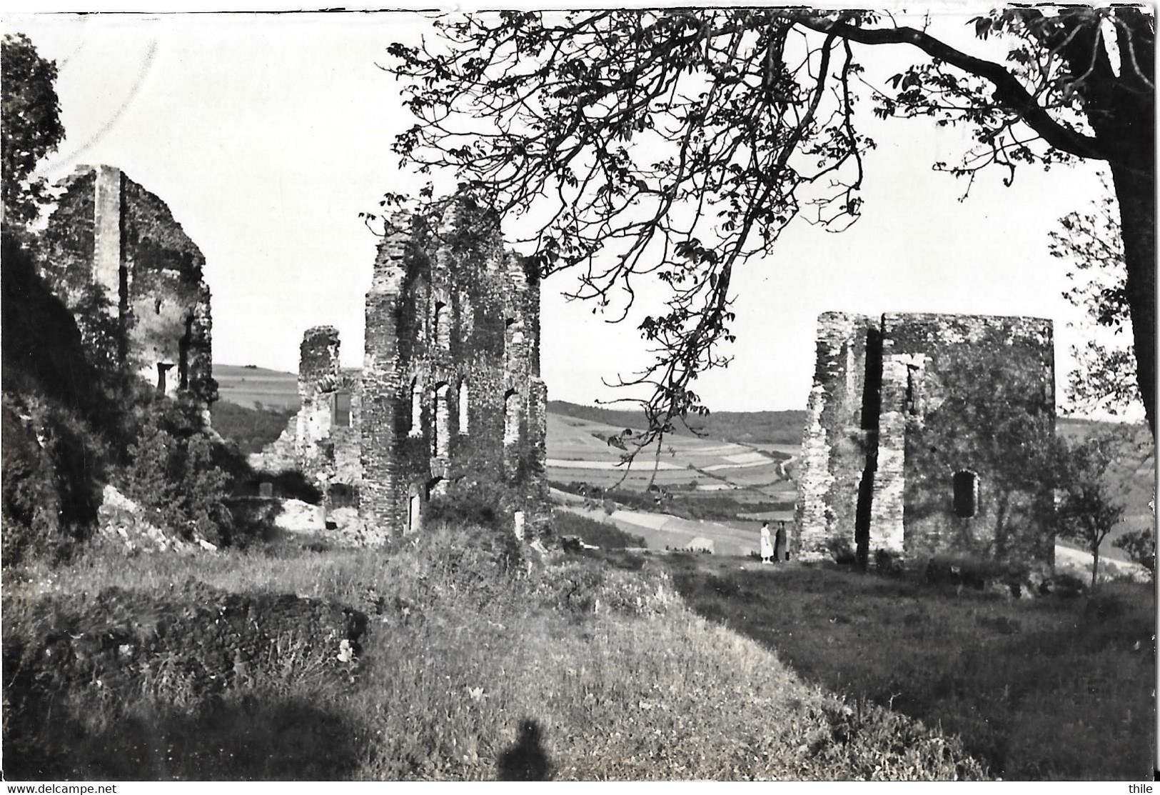 BOURSCHEID - Les Ruines - Bourscheid