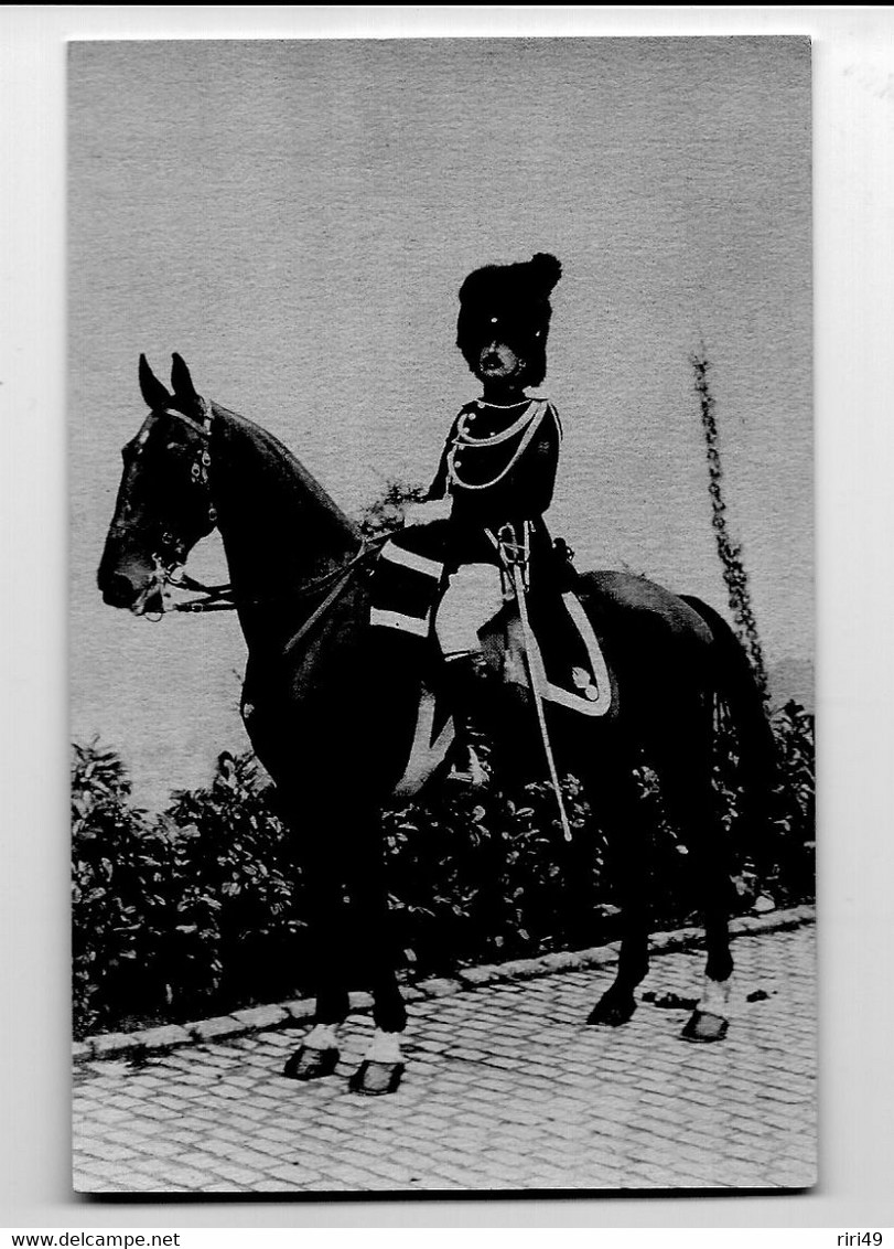 CPA Belgique Officier De Gendarmerie 1914 Fête Militaire Du Centenaire Belle Carte, N°7, 2e Scanne D'où Vient La Carte - Collections & Lots