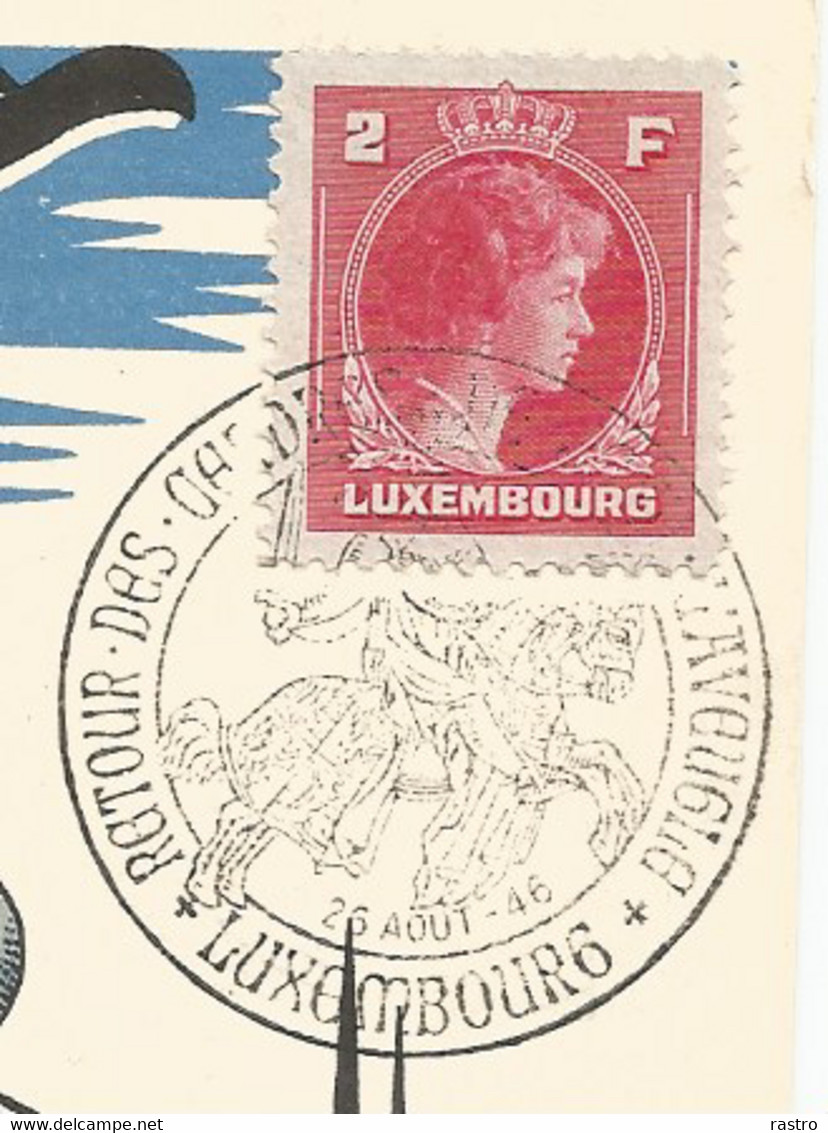 N) 349 (Charlotte , 2F Carmin ) Sur Carte PTT  N° 6 , "retour Des Cendres De Jean L'Aveugle"  (1946) - Cartoline Commemorative