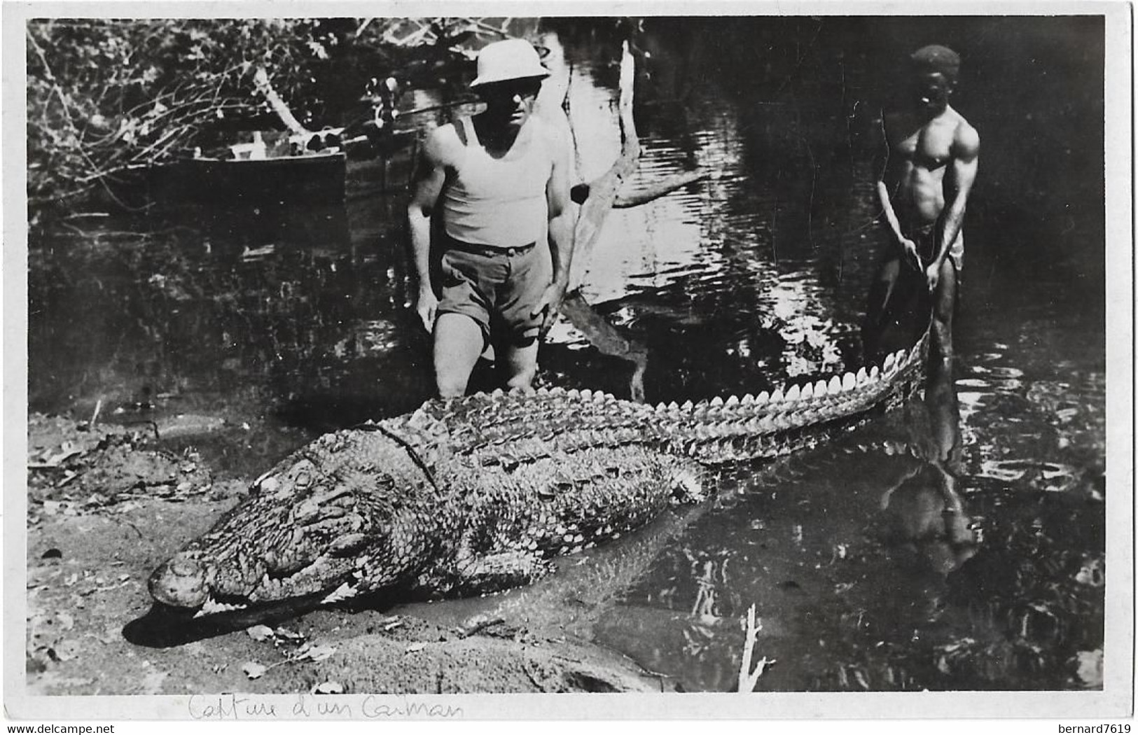 Guinee Francaise    -   Edit  Vialla  Tenaille -  - Capture  D'un Caiman  Mangeur D'hommes - Guinée Française