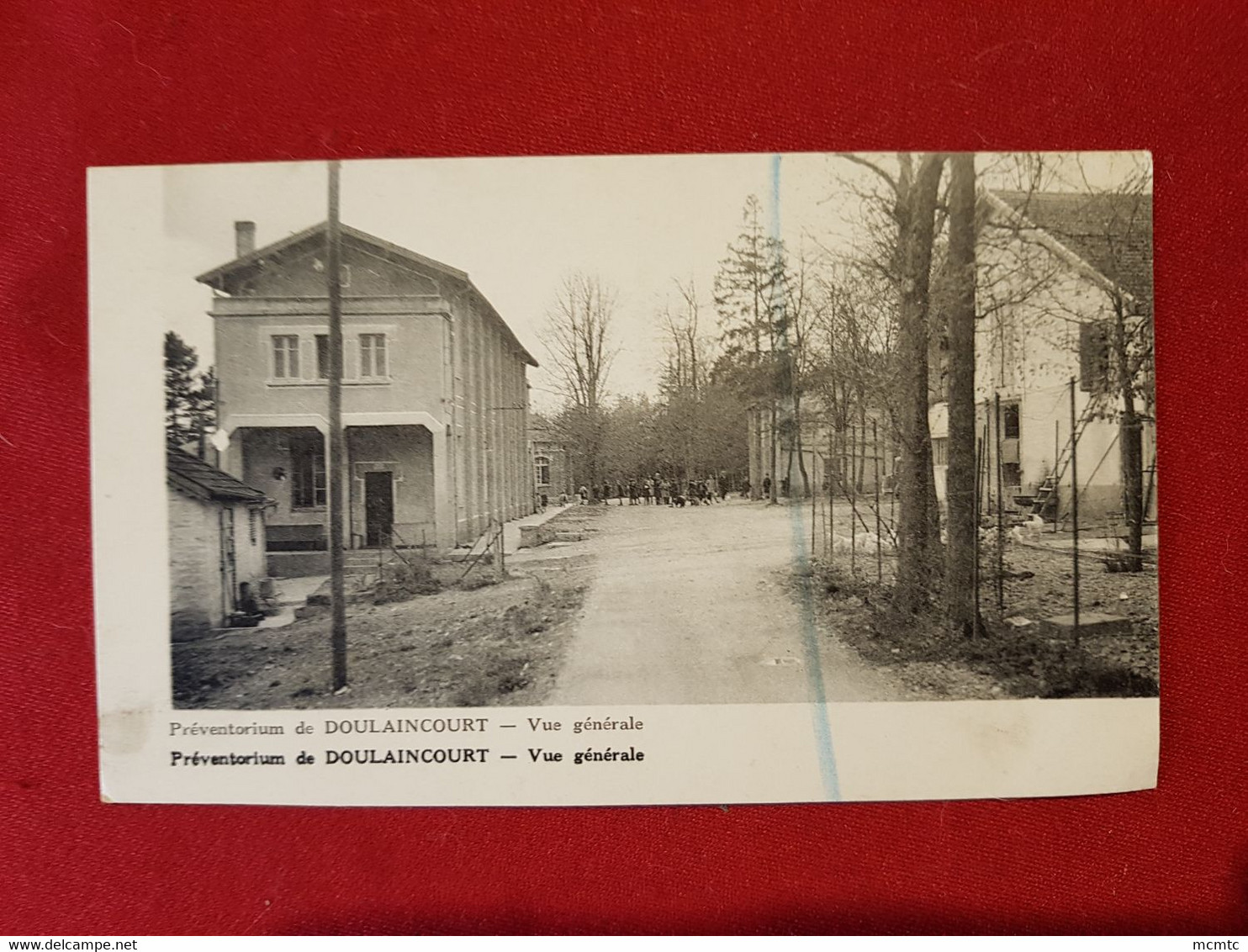 CPA -  Préventorium De Doulaincourt  - Vue Générale - Doulaincourt